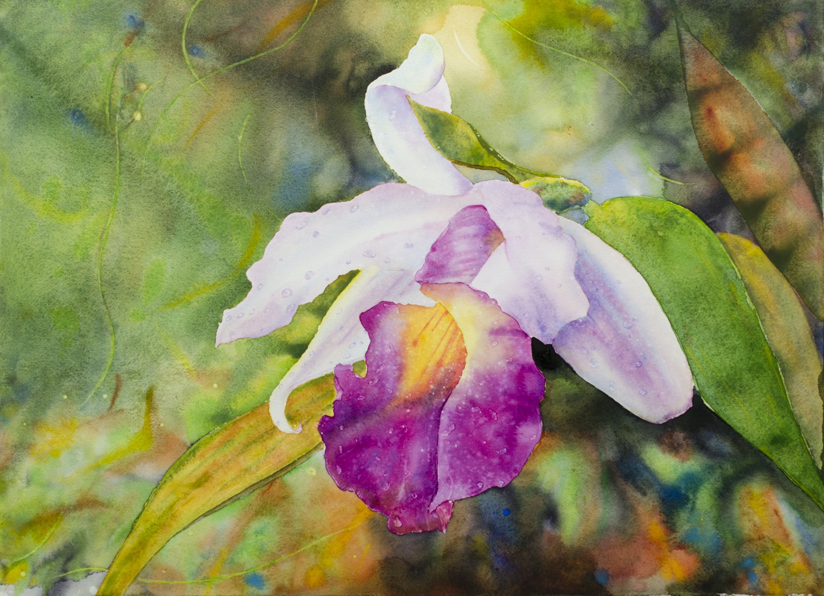 Ross Barbera, “San Francisco Orchid," watercolor on paper, 22" x 30"