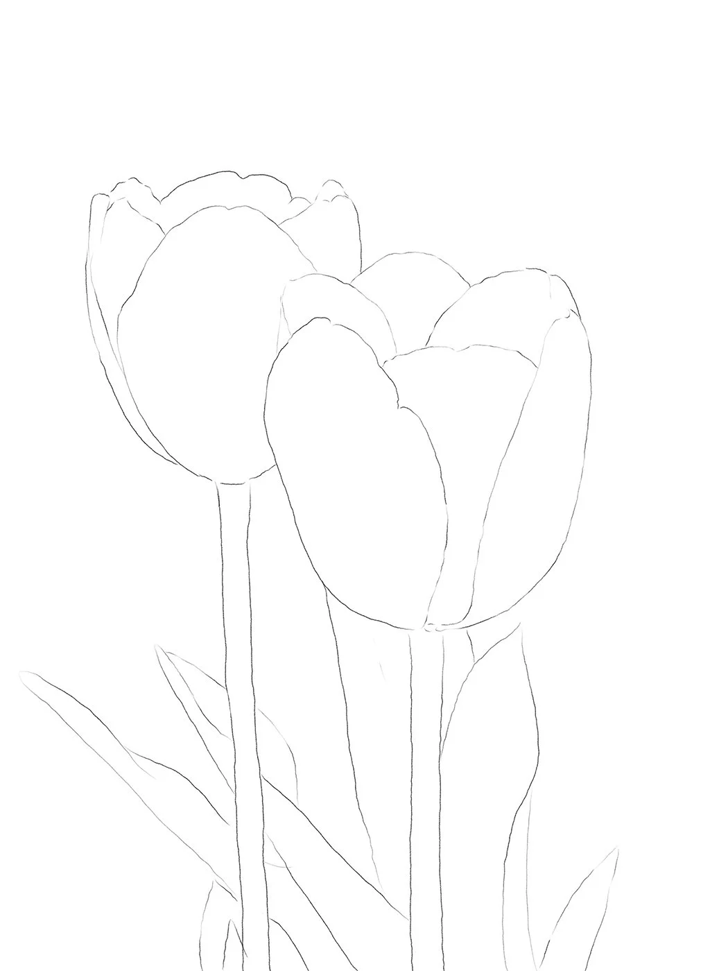 Drawing