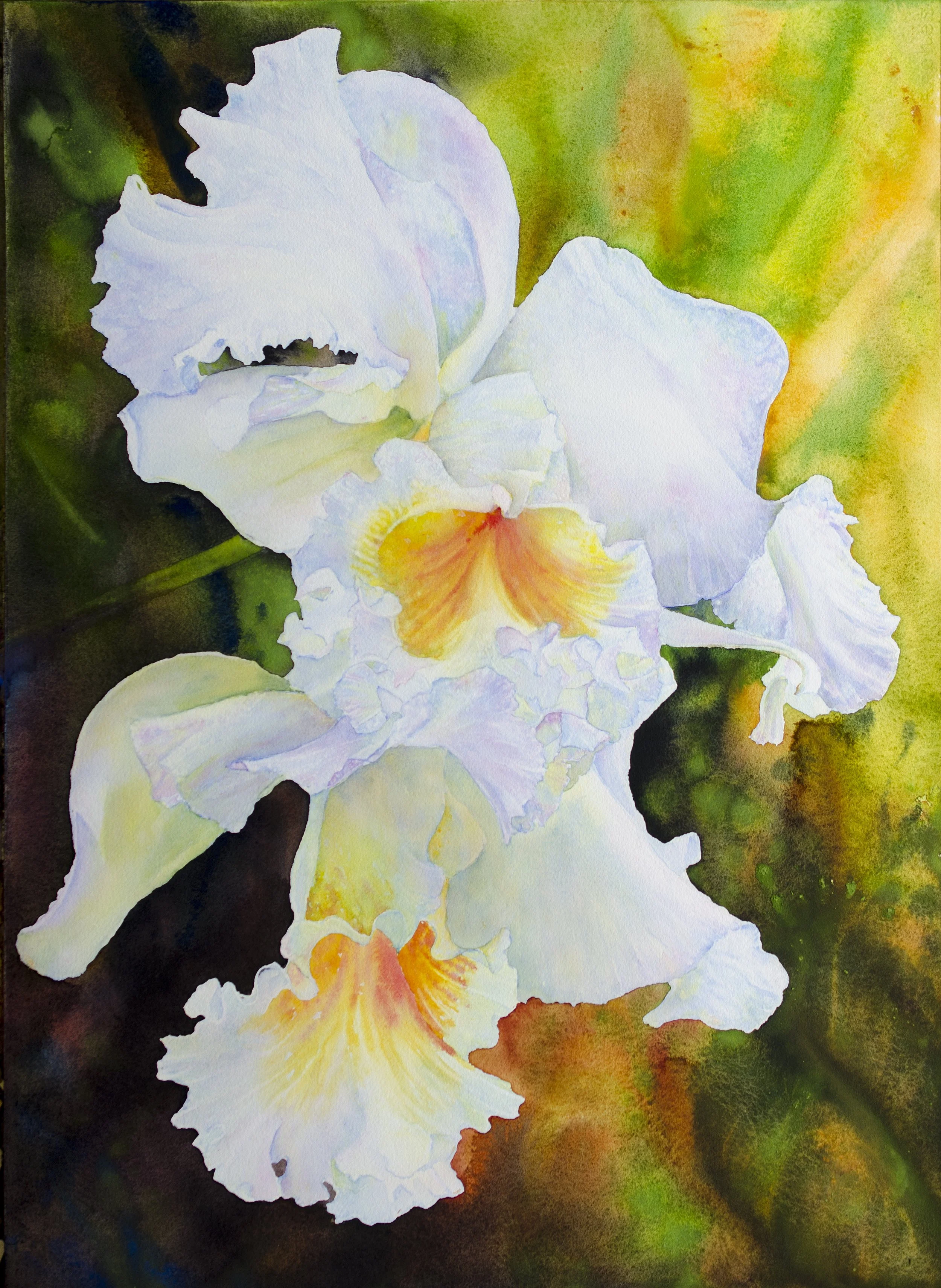 Ross Barbera, “White Orchids," watercolor on paper, 30" x 22"