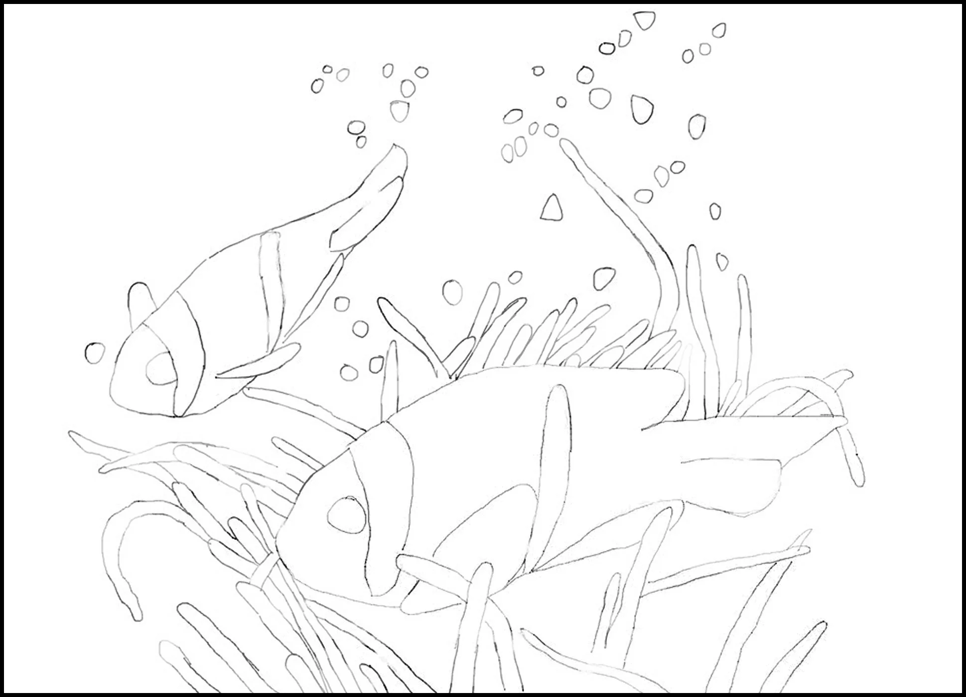 Drawing