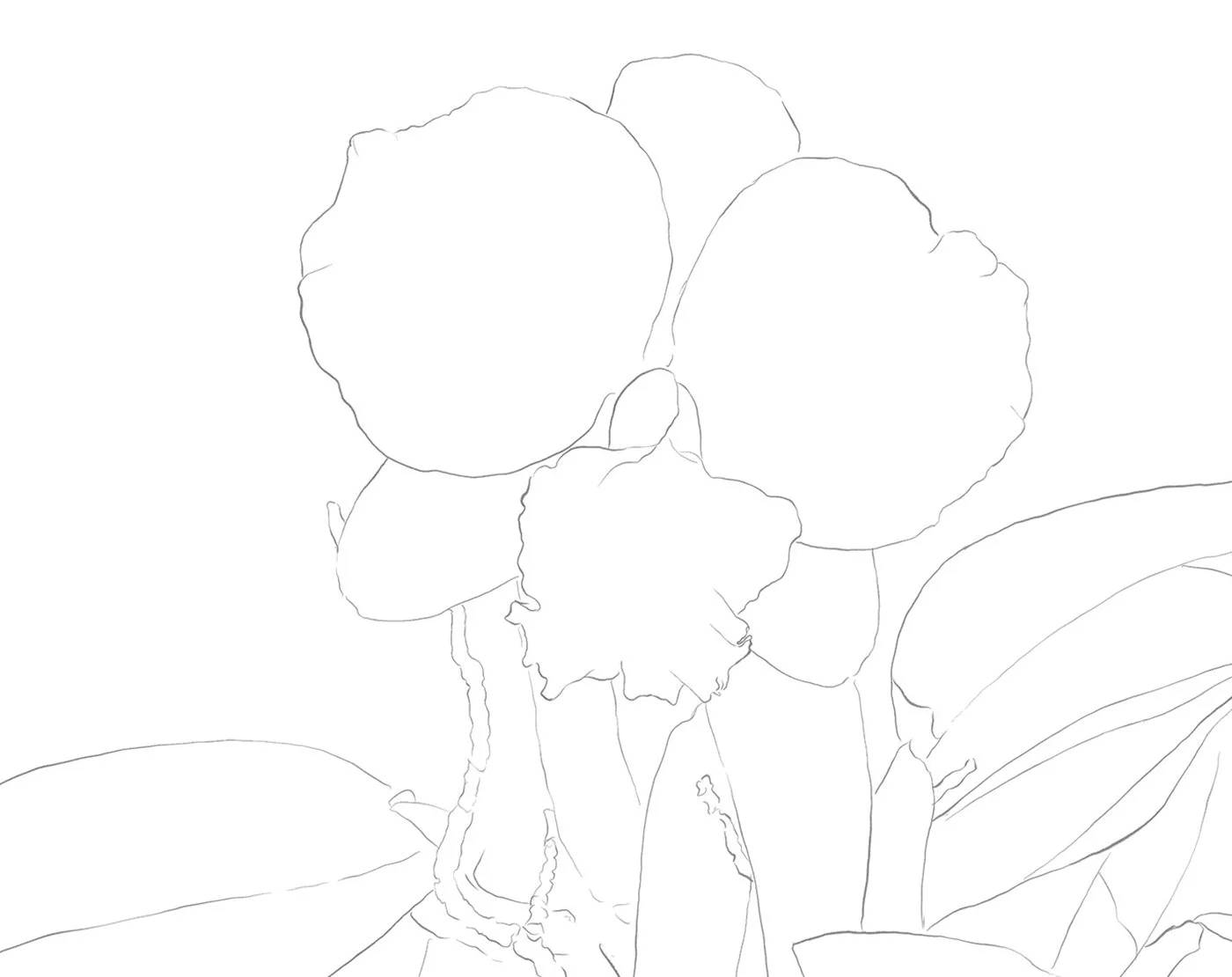 Drawing
