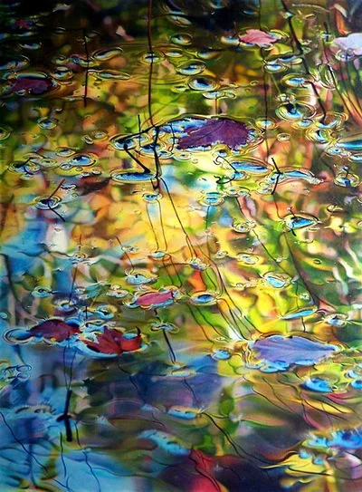"South Shore Pond: Late October," by Ross Barbera, Acrylic on Canvas, 62" x 46"