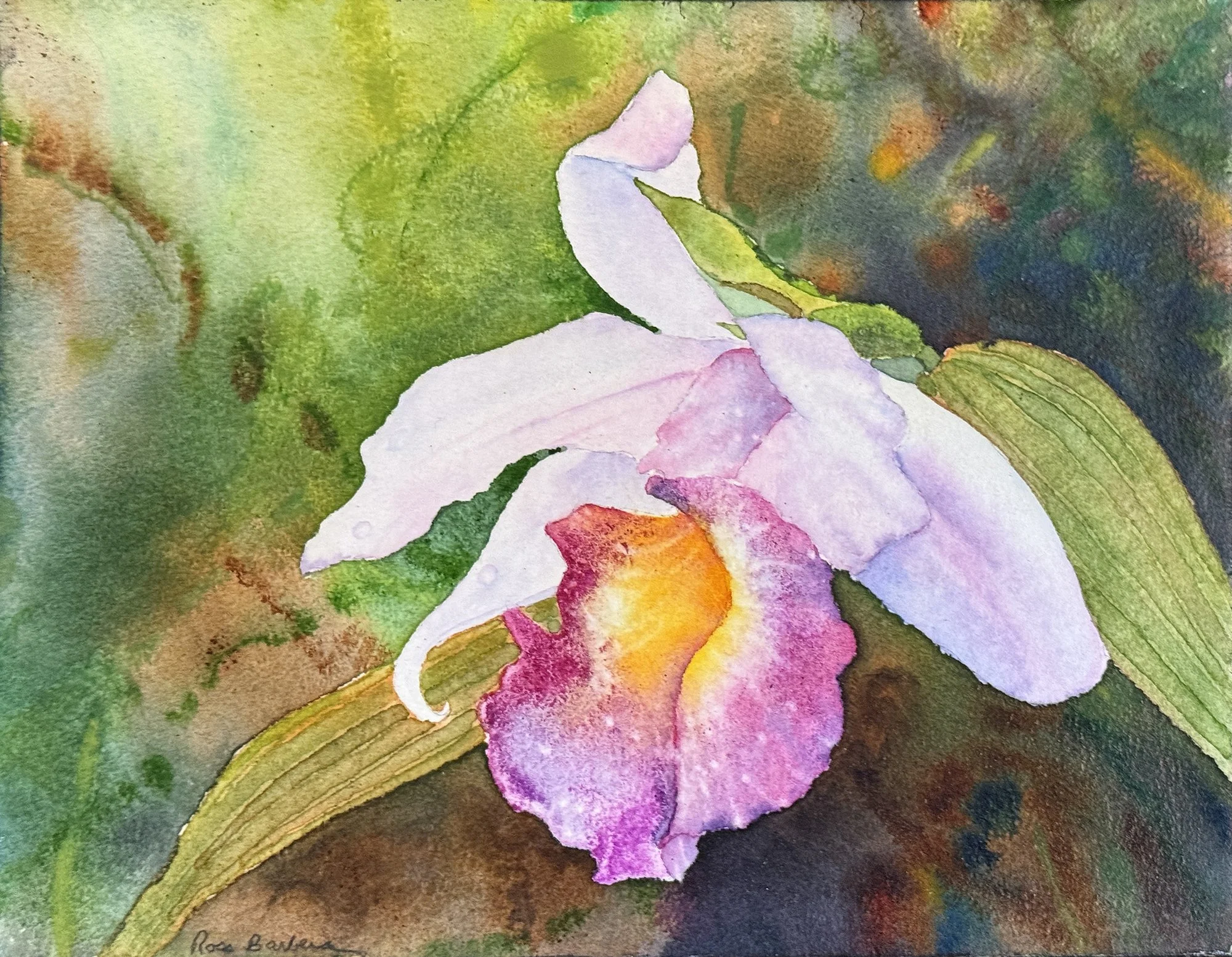 "Lavender Cattleya," Ross Barbera, Watercolor Mounted on Canvas, $175.00 