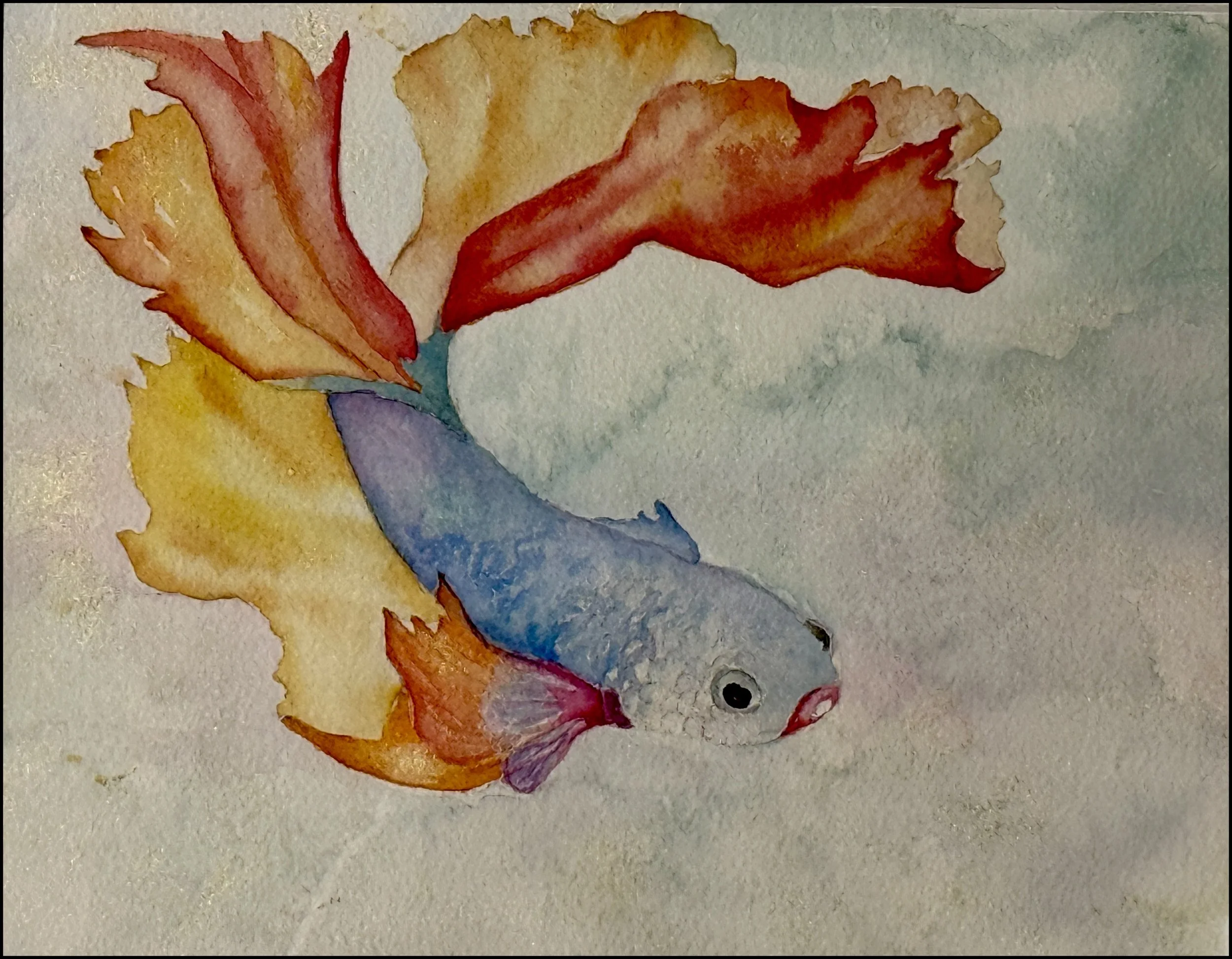 Sissy St.John, "Dream Fish," Watercolor on Paper
