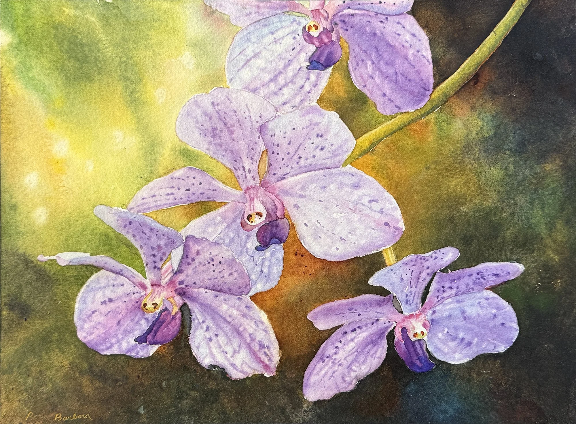 "Lavender Phalaenopsis Orchids,"  Ross Barbera, Watercolor Mounted on Panel, $250.00