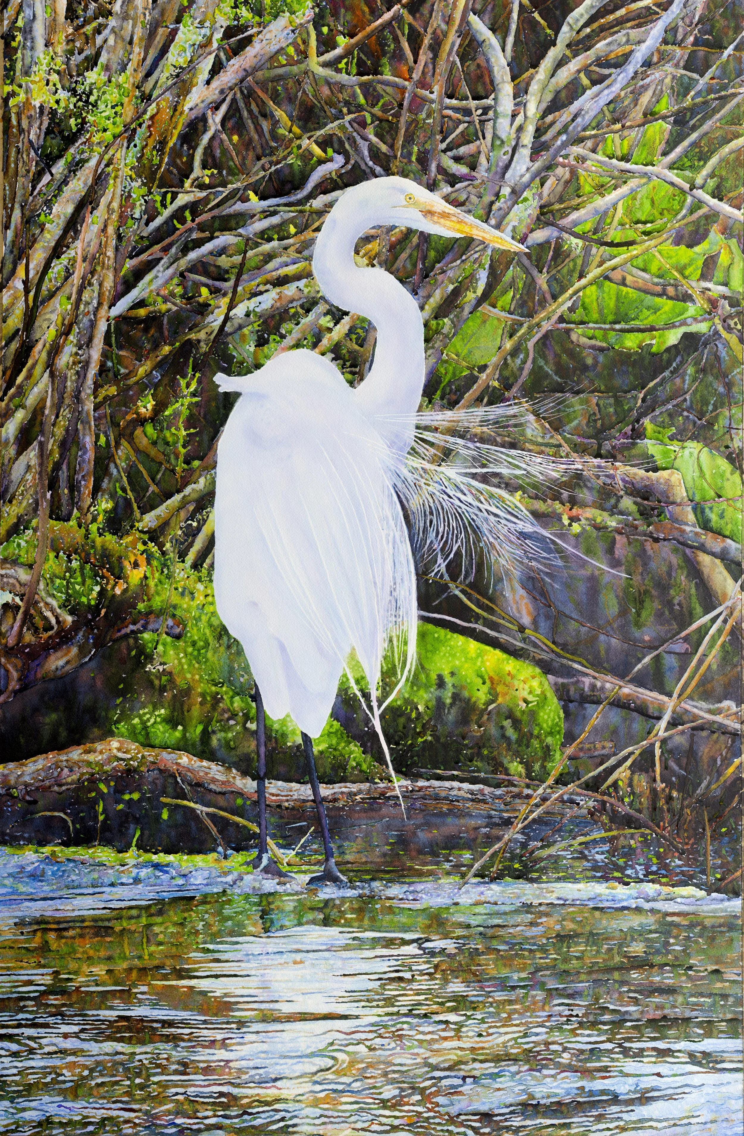 "Egret: Early Summer, Avalon Preserve, Stony Brook, NY," by Ross Barbera, Mounted Watercolor on Canvas, 46" x 31", 2017