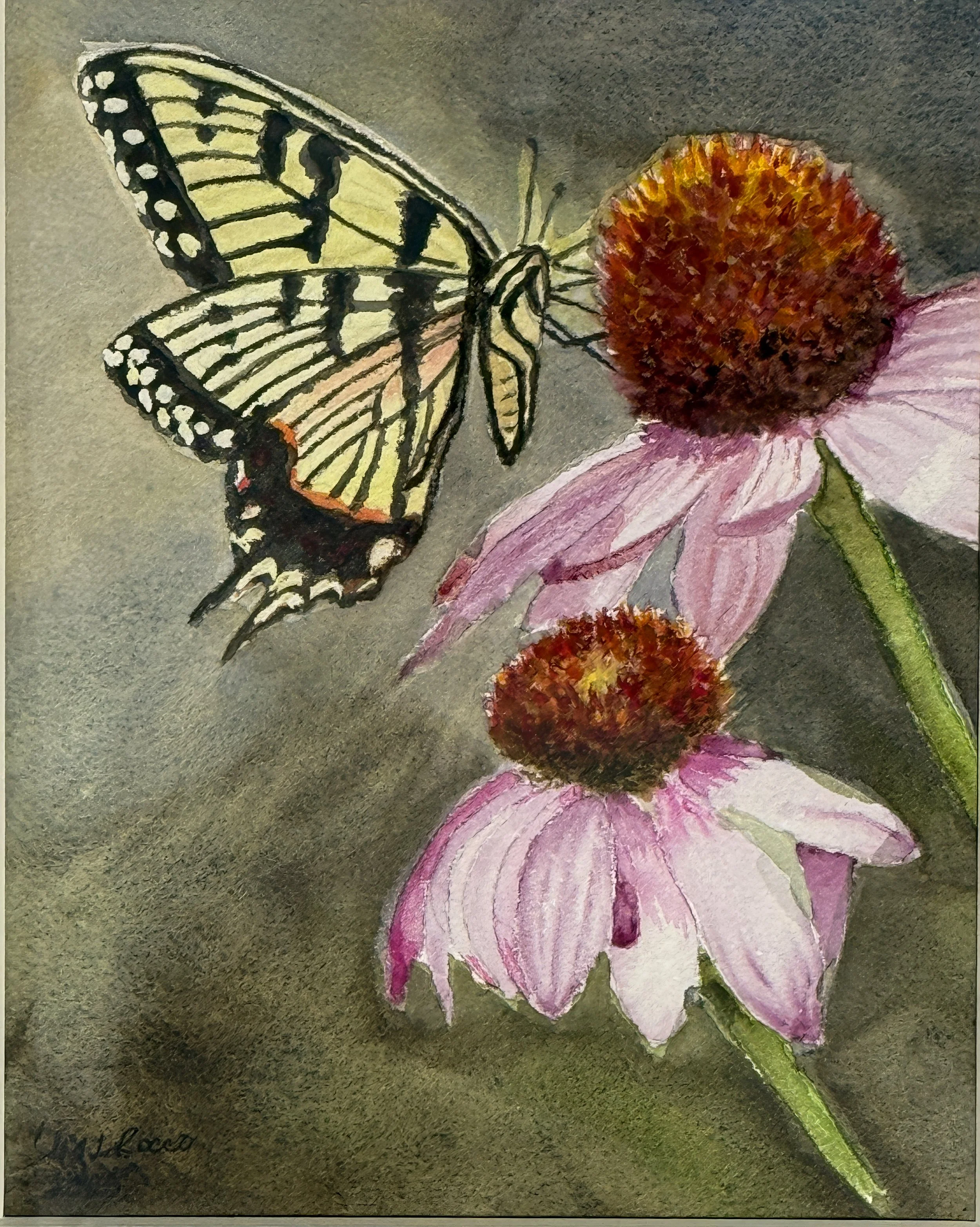 Liz LaRocco, "Swallowtail," Watercolor on Paper
