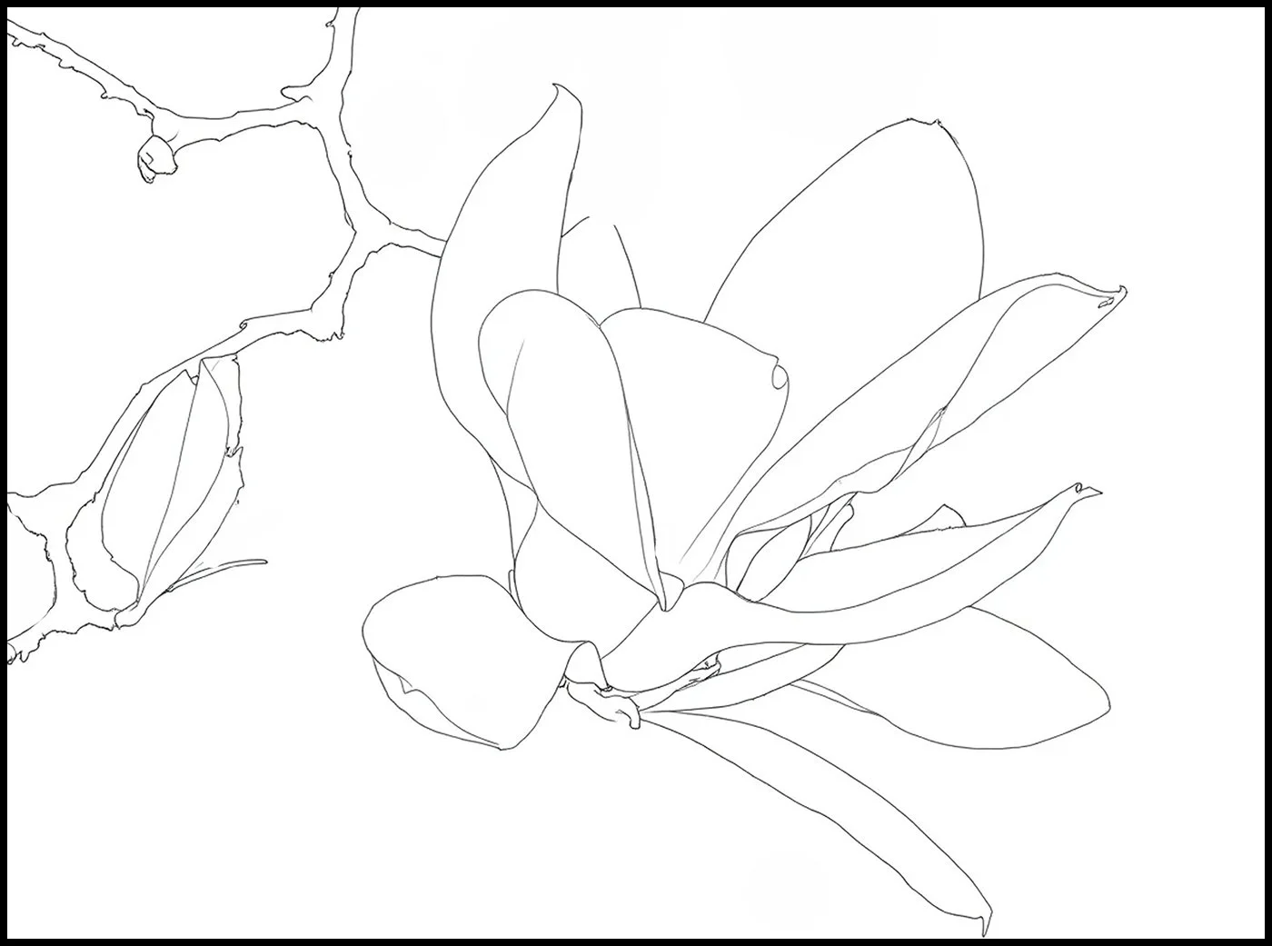 Drawing