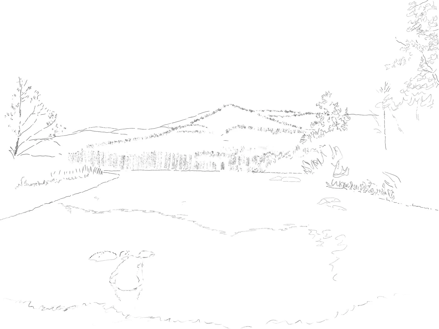 Drawing