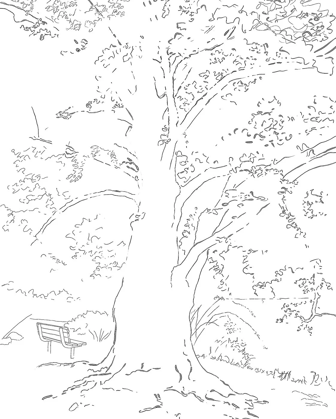 Drawing