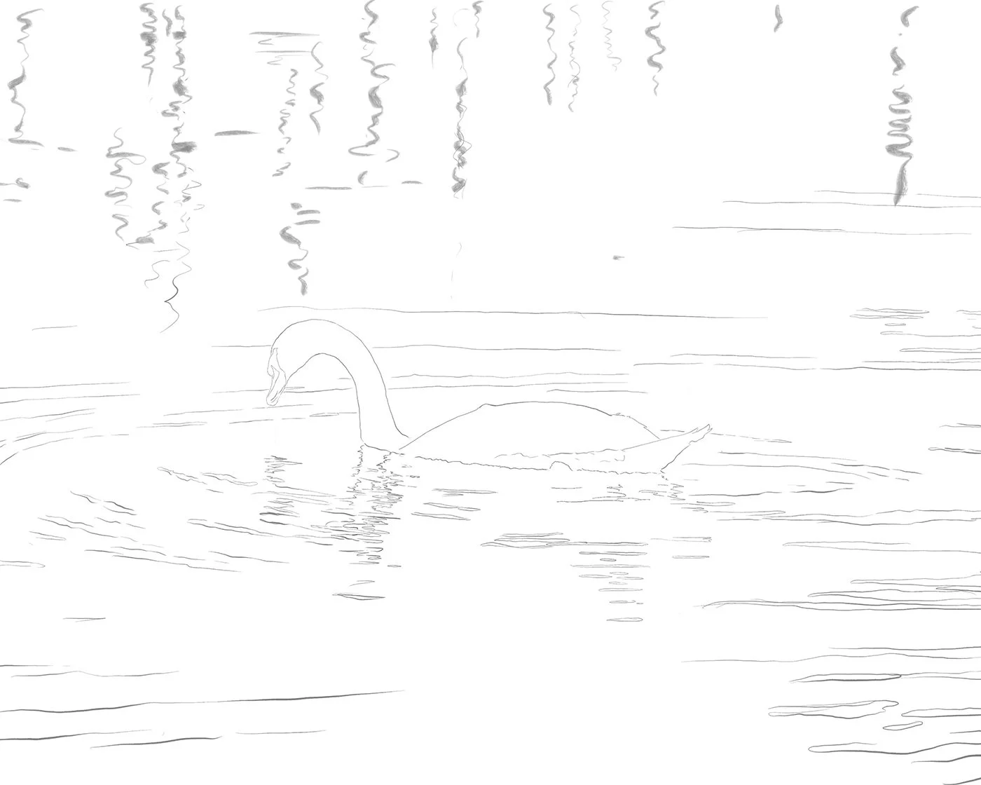 Drawing