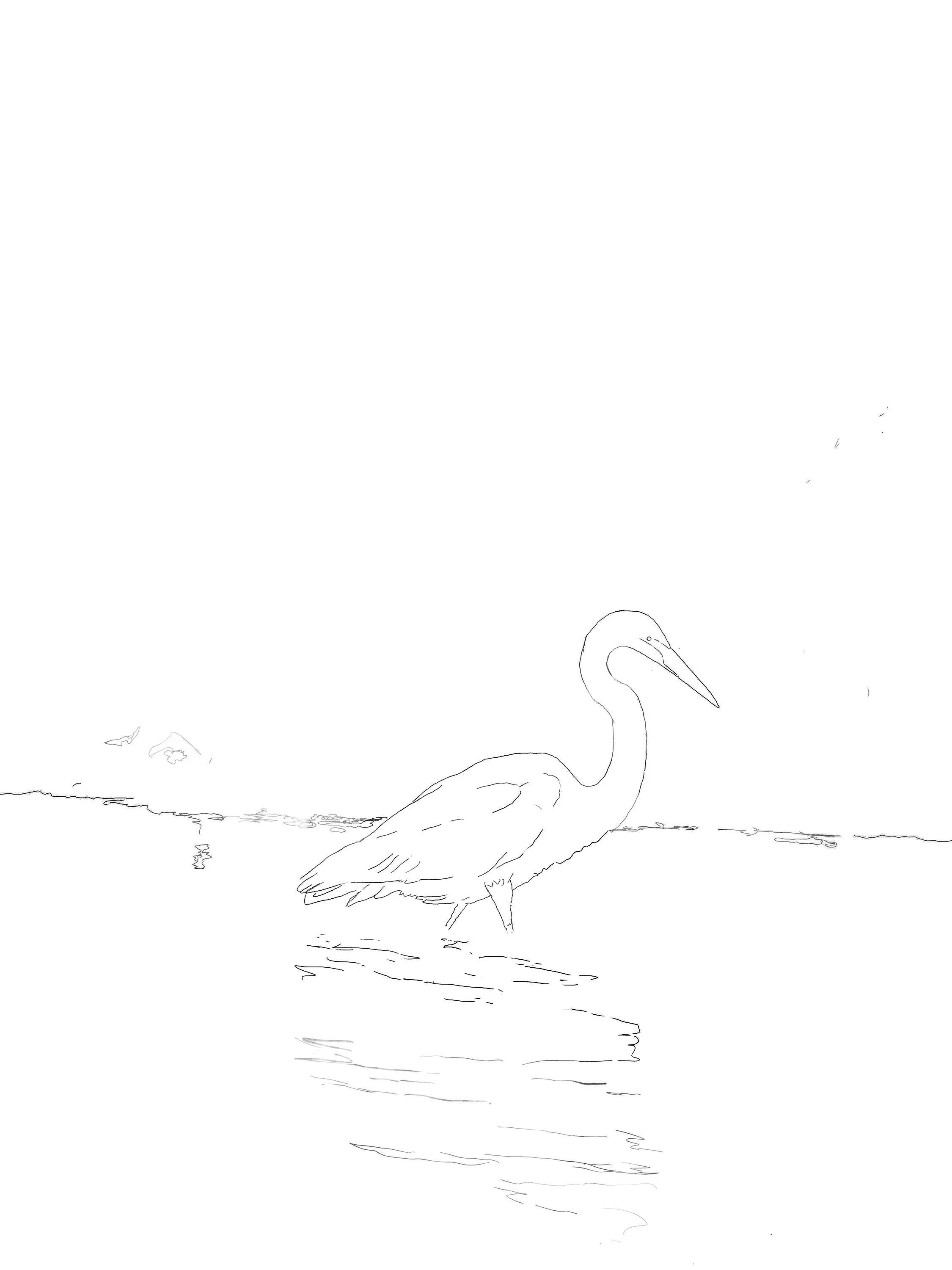 Drawing
