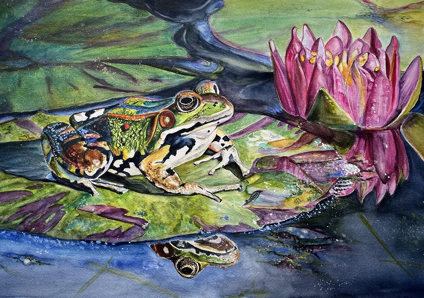 
Jean Daniels, "FROG REFLECTION," WATERCOLOR ON PAPER, 14" X 20"