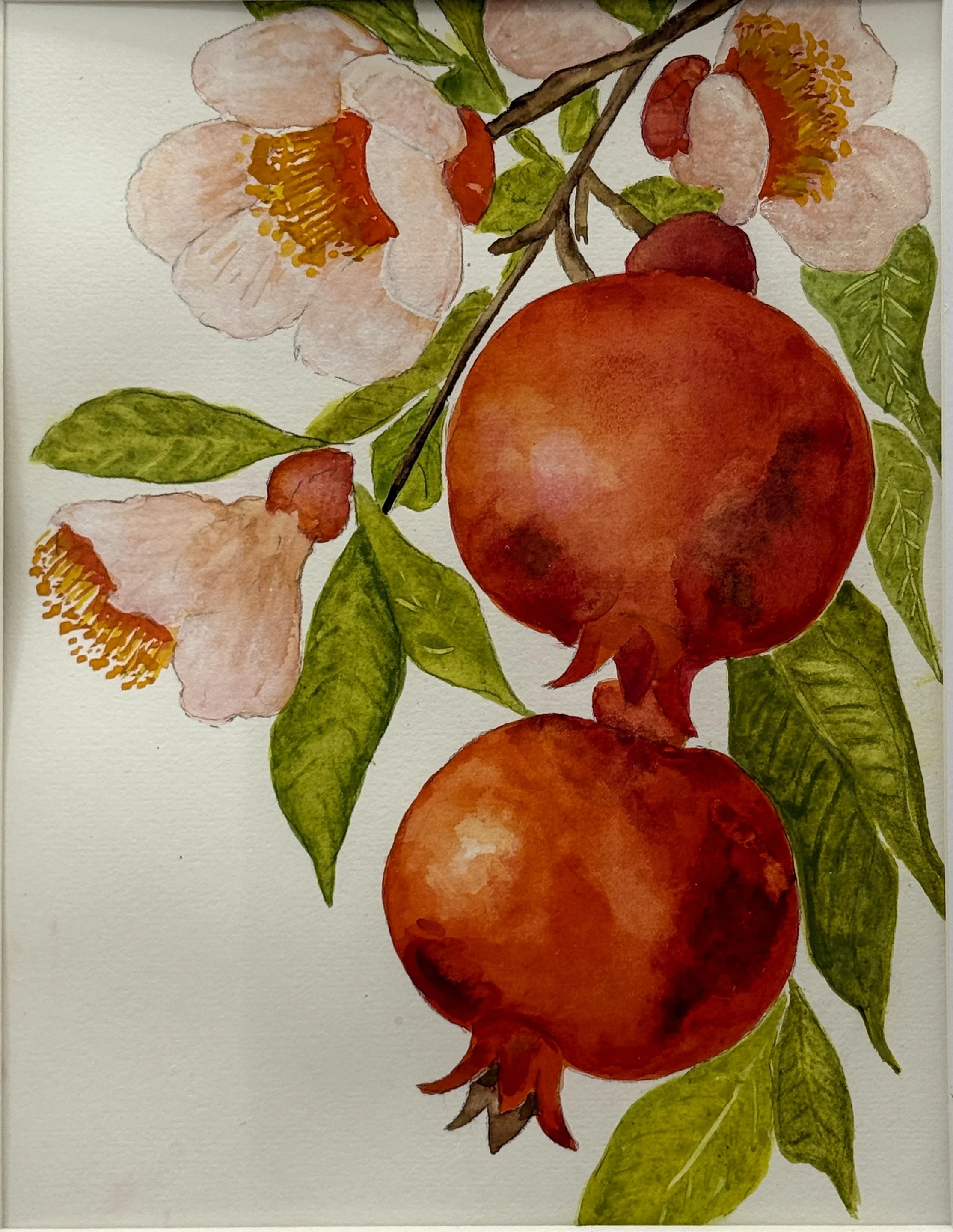 Karen Scharbach, "Garnet Grace," Watercolor on Paper