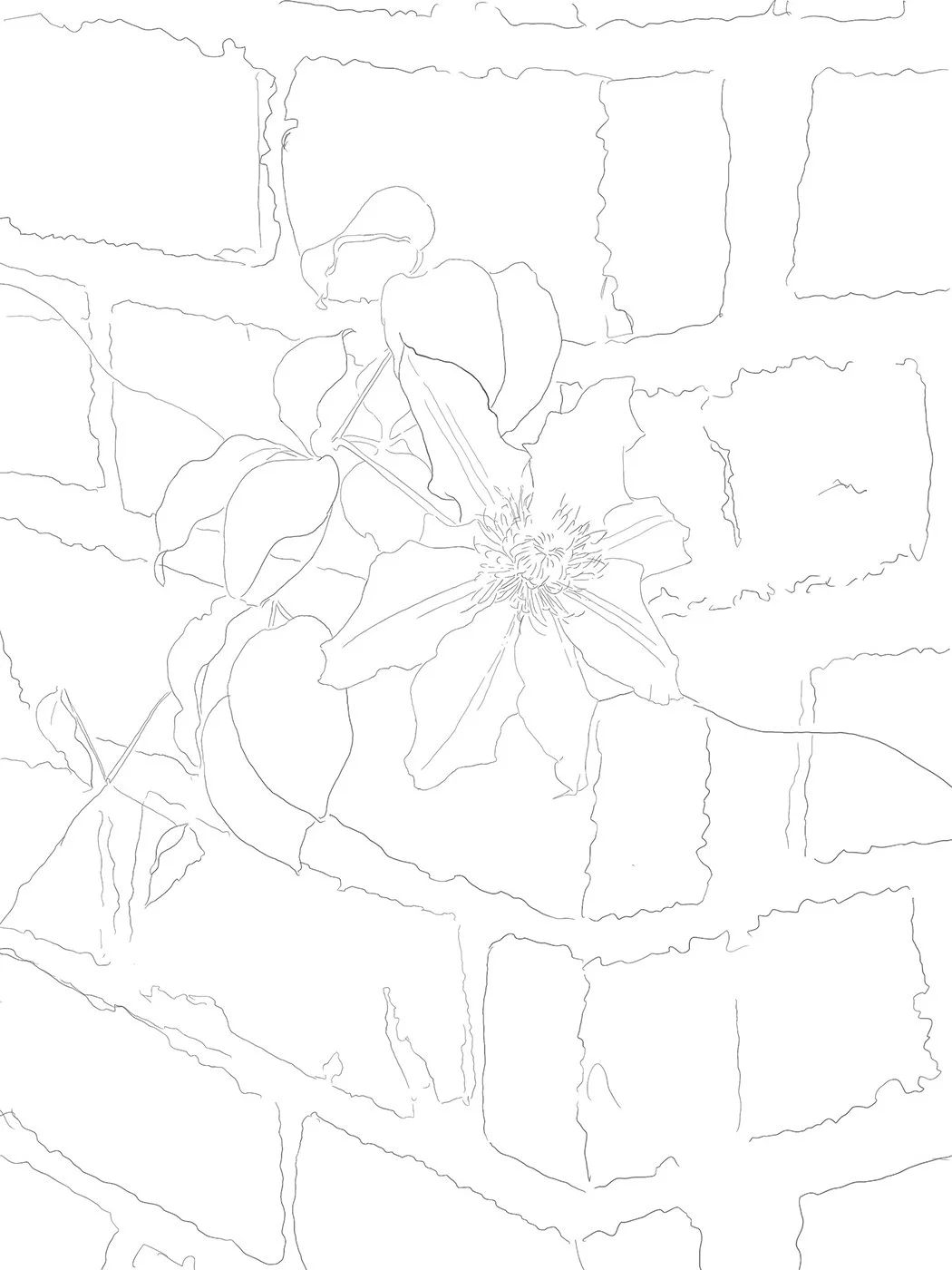 Drawing