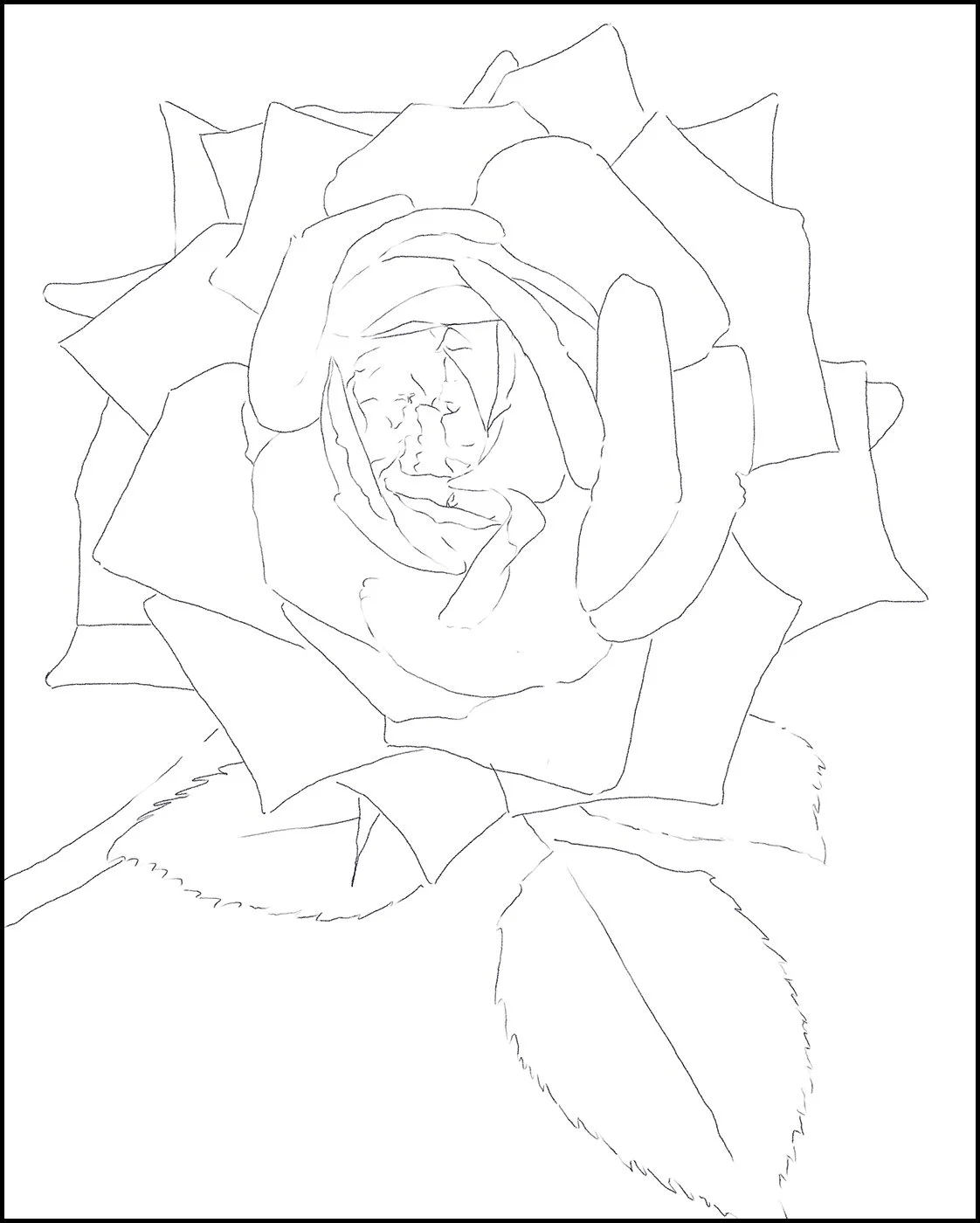 drawing