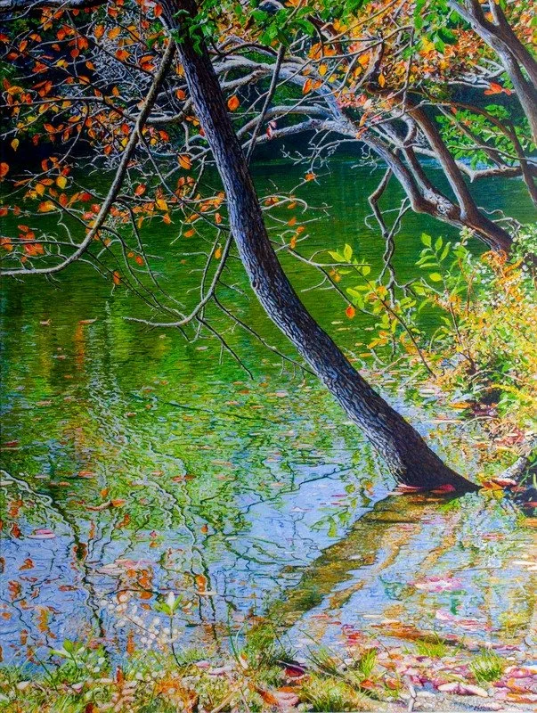 Willow Pond.jpg