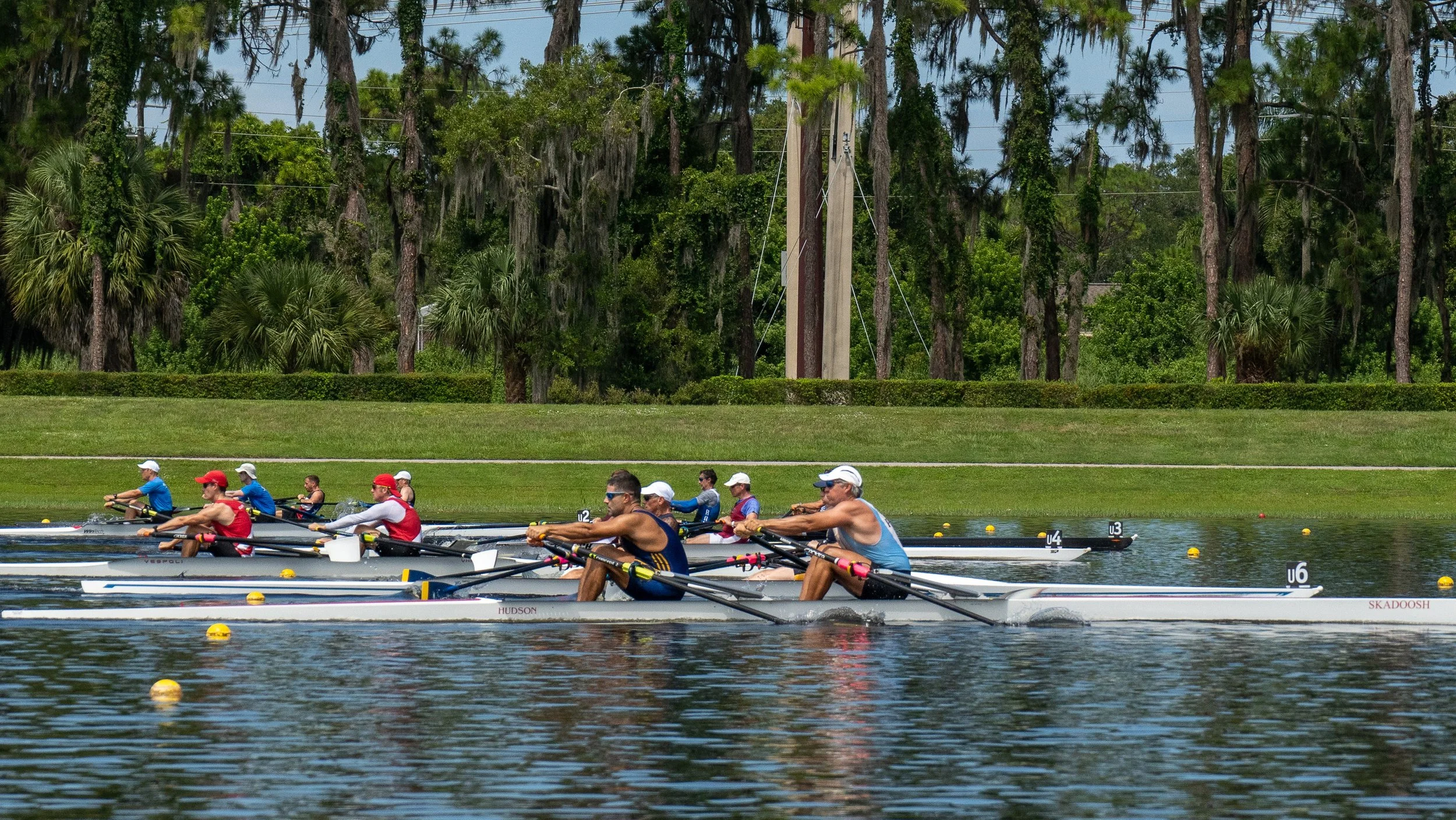 A group of rowers in racing shells competing in a race on a river, with a background of trees and power lines.