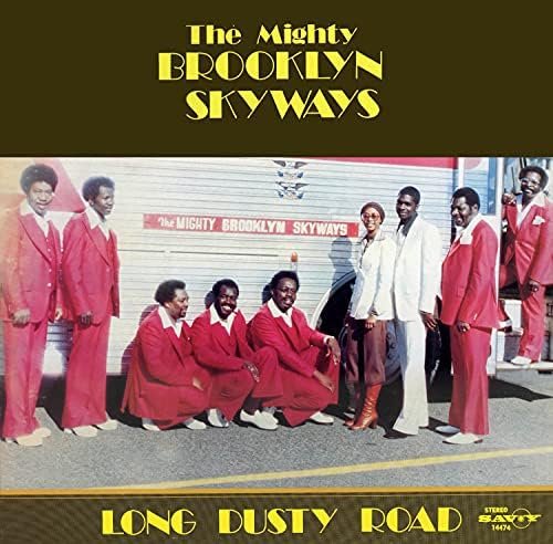 The Mighty Brooklyn Skyways - Long Dusty Road LP