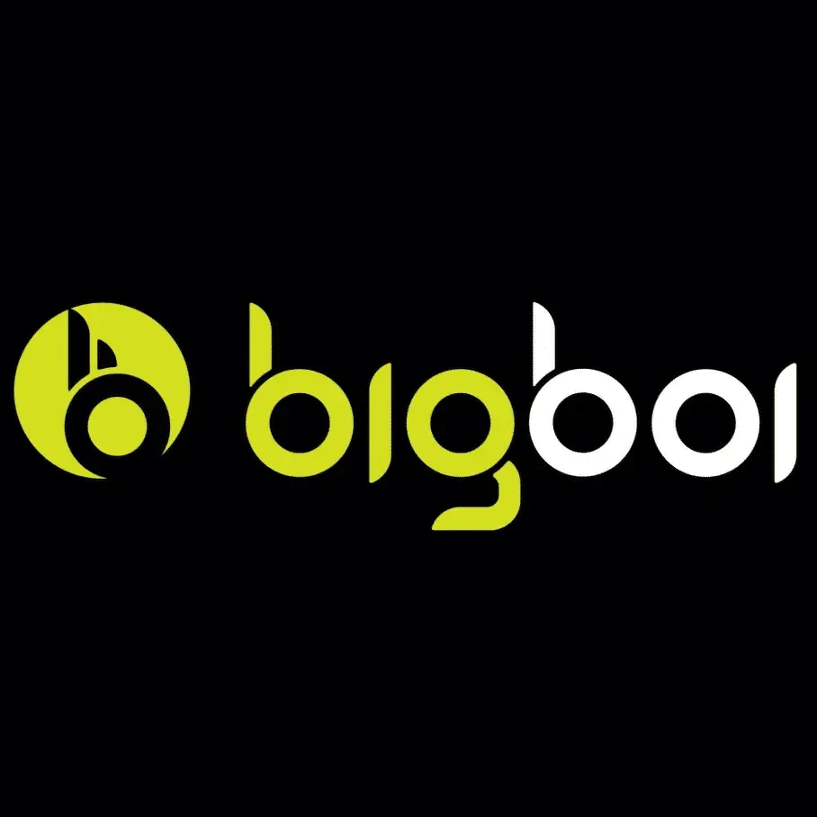 Logo van BIGBOI met een groene en witte tekst op een zwarte achtergrond.