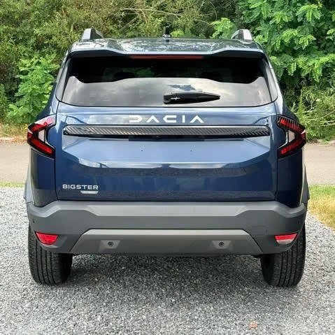 Achterkant van een blauwe Dacia auto geparkeerd op gravel met groene bomen op de achtergrond.