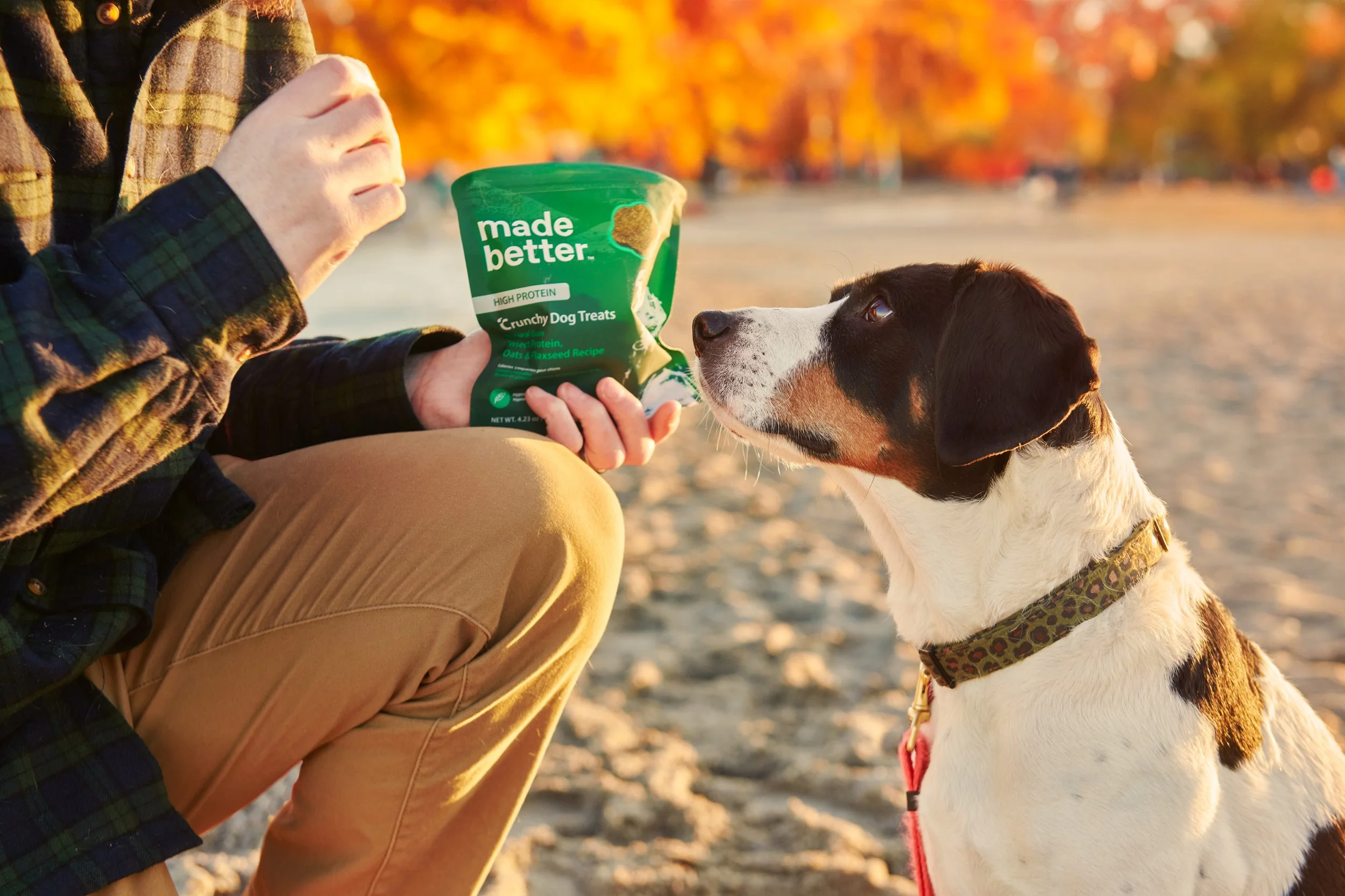 Dublin_Pet_Photographer_El_Keegan_Riverside_Naturals_Pet_Food_EKP0001.jpg