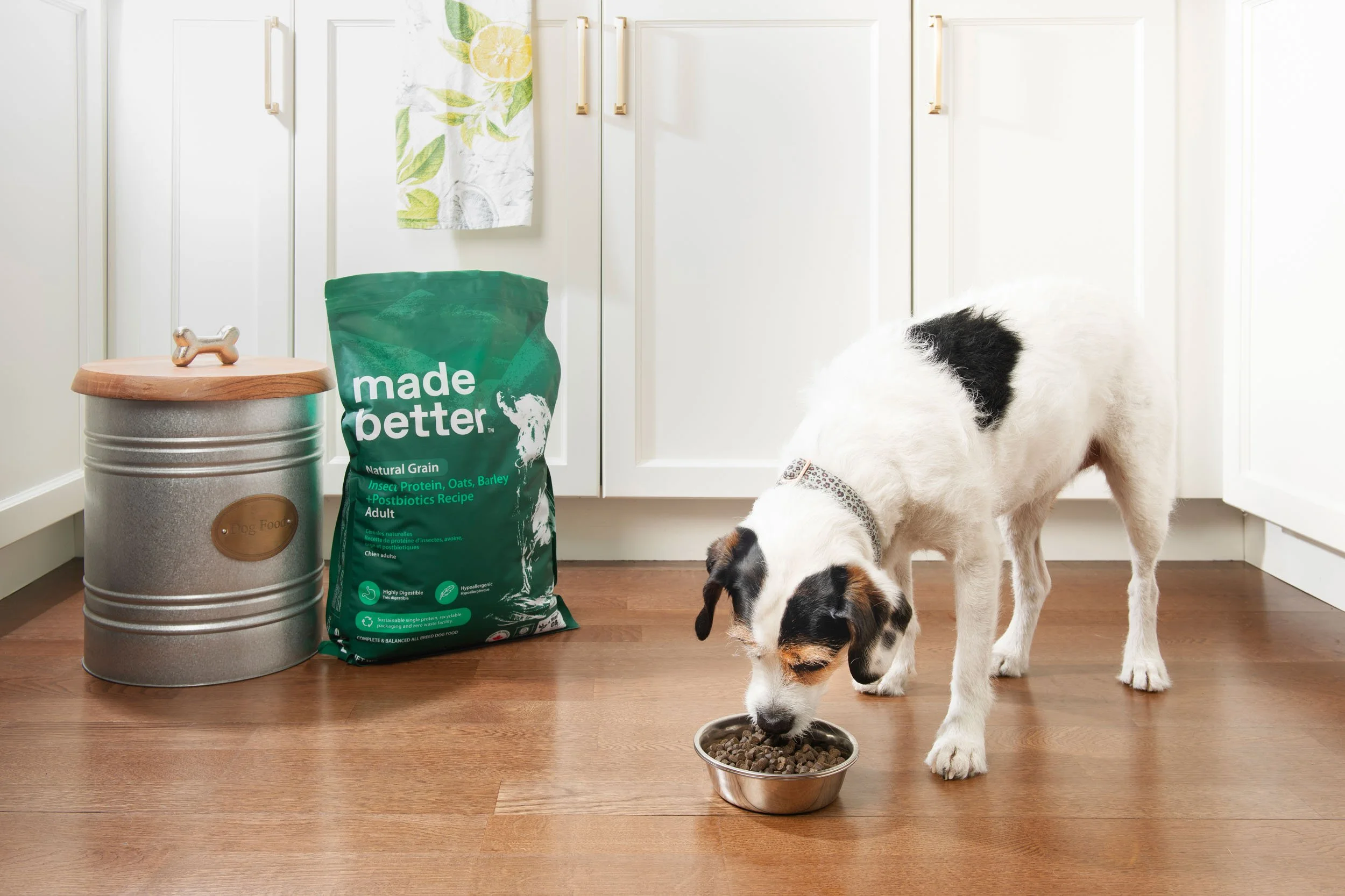 Dublin_Pet_Photographer_El_Keegan_Riverside_Naturals_Pet_Food_7.jpg