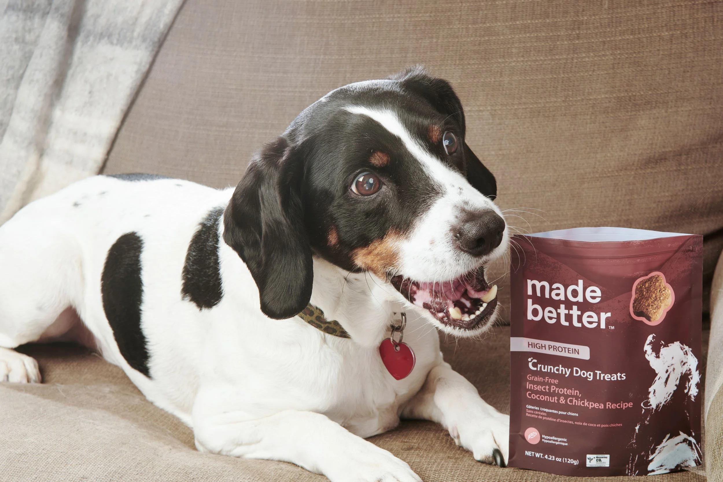 Dublin_Pet_Photographer_El_Keegan_Riverside_Naturals_Pet_Food_1.jpg