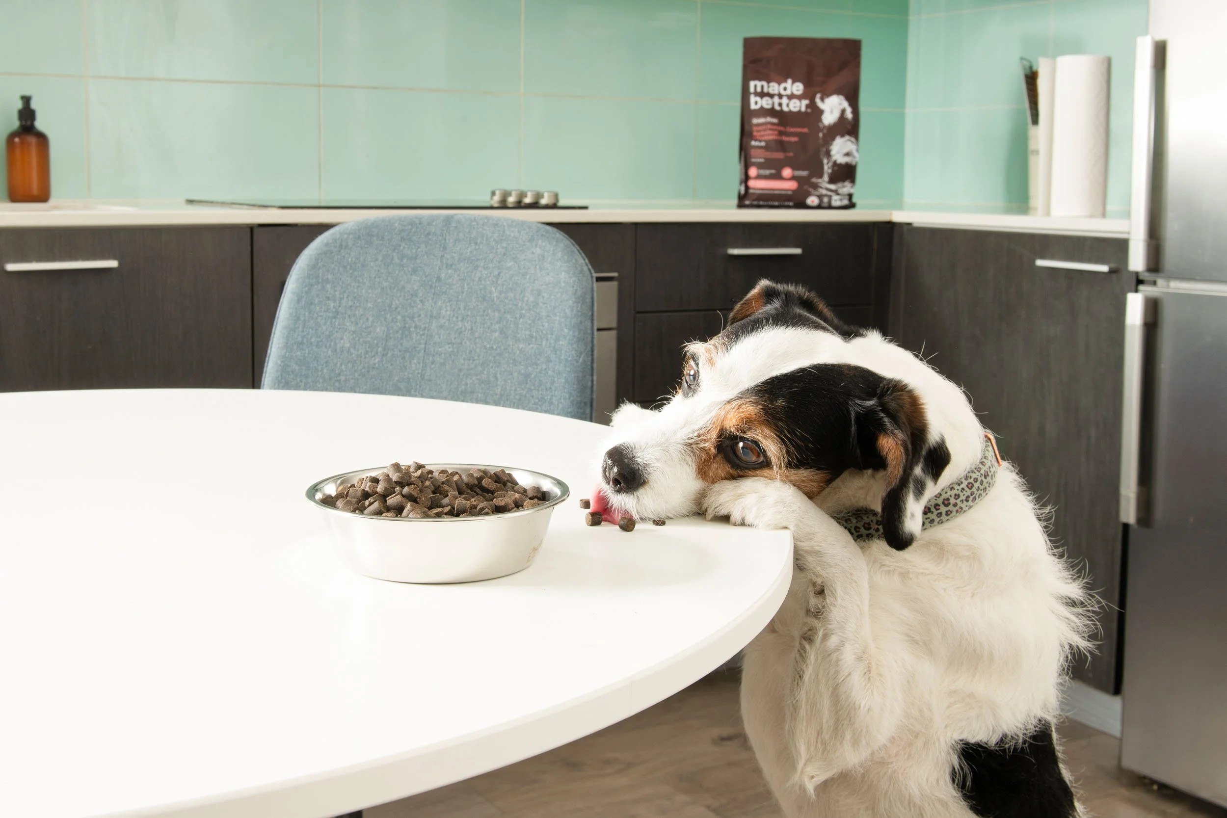 Dublin_Pet_Photographer_El_Keegan_Riverside_Naturals_Pet_Food_4.jpg
