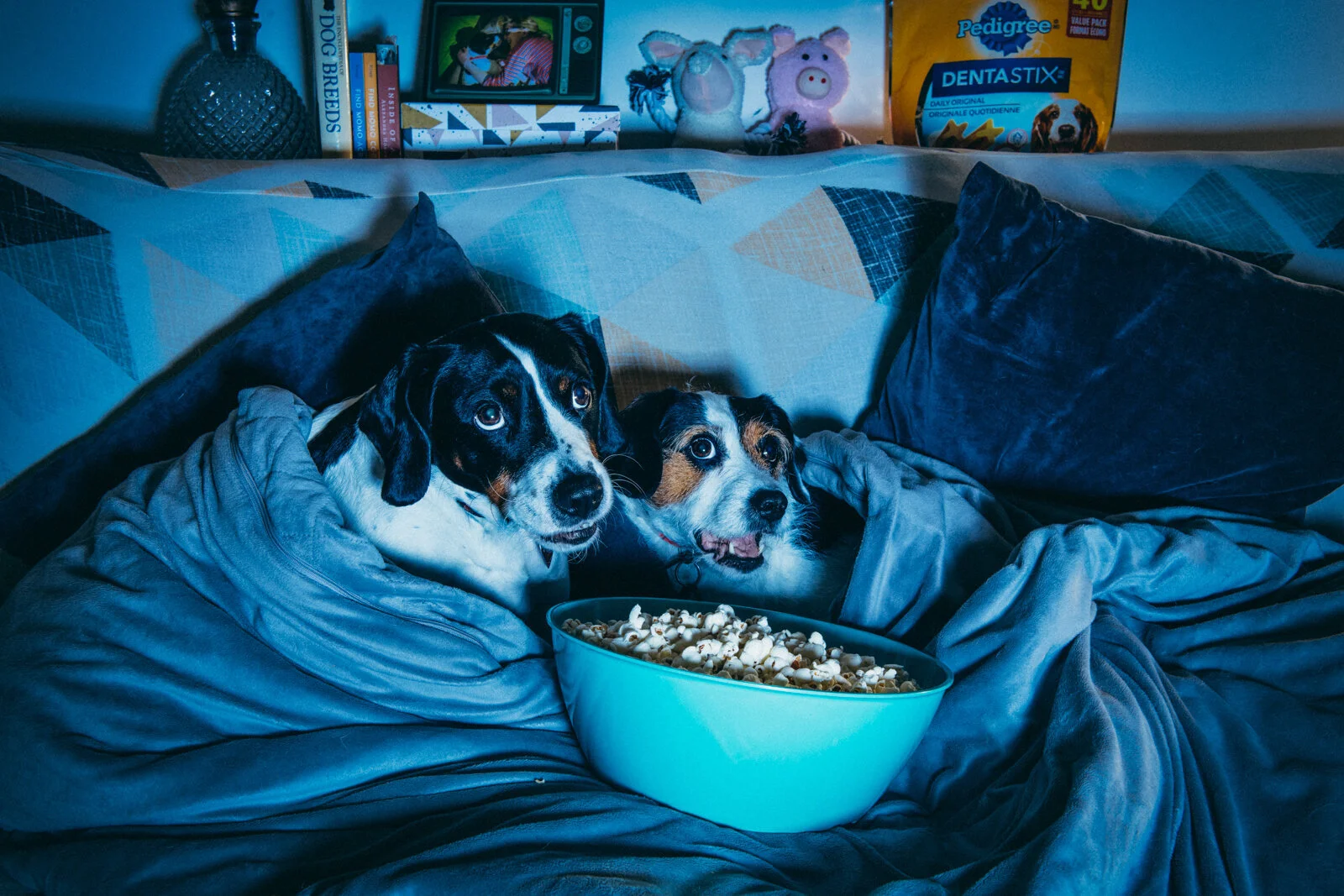 Movie+Night-130-Edit.jpg