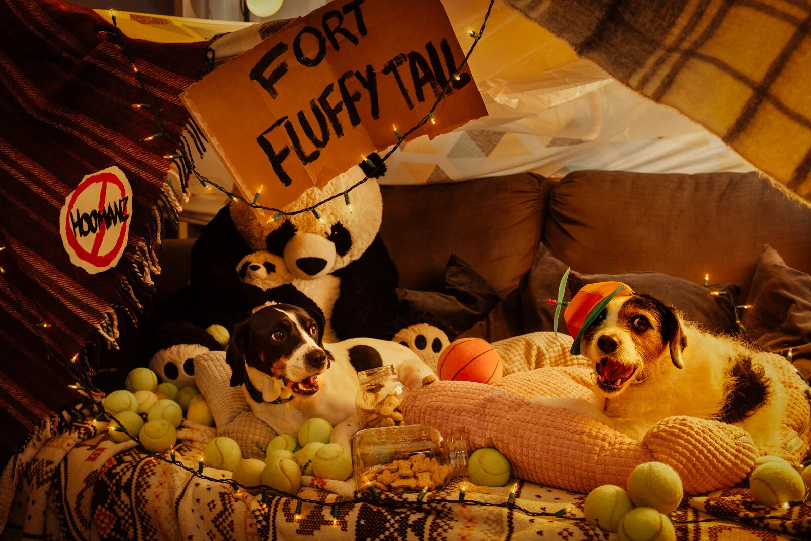 Fort Fluffy Tail-109-Edit_V2.jpg