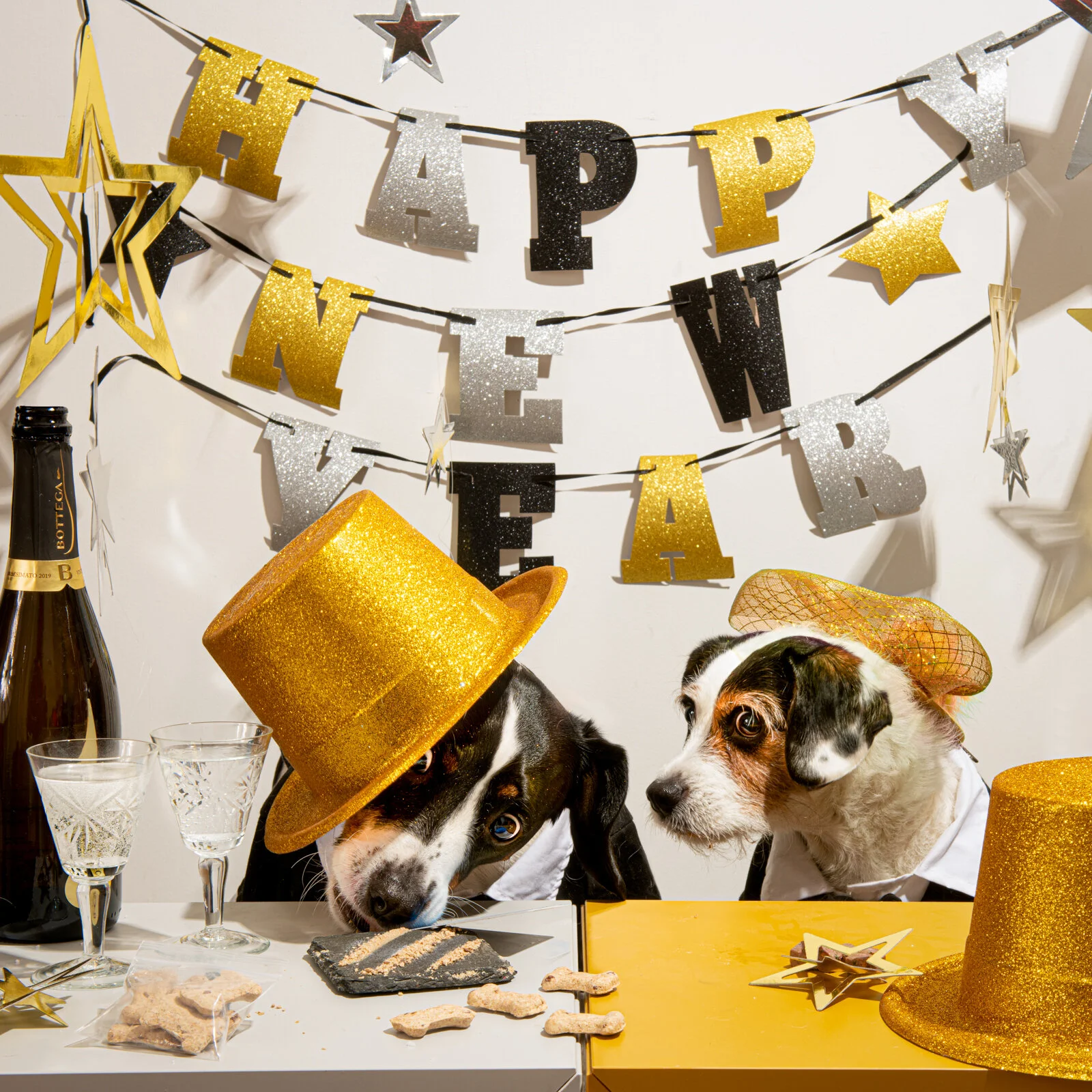 New Years-078-Edit.jpg