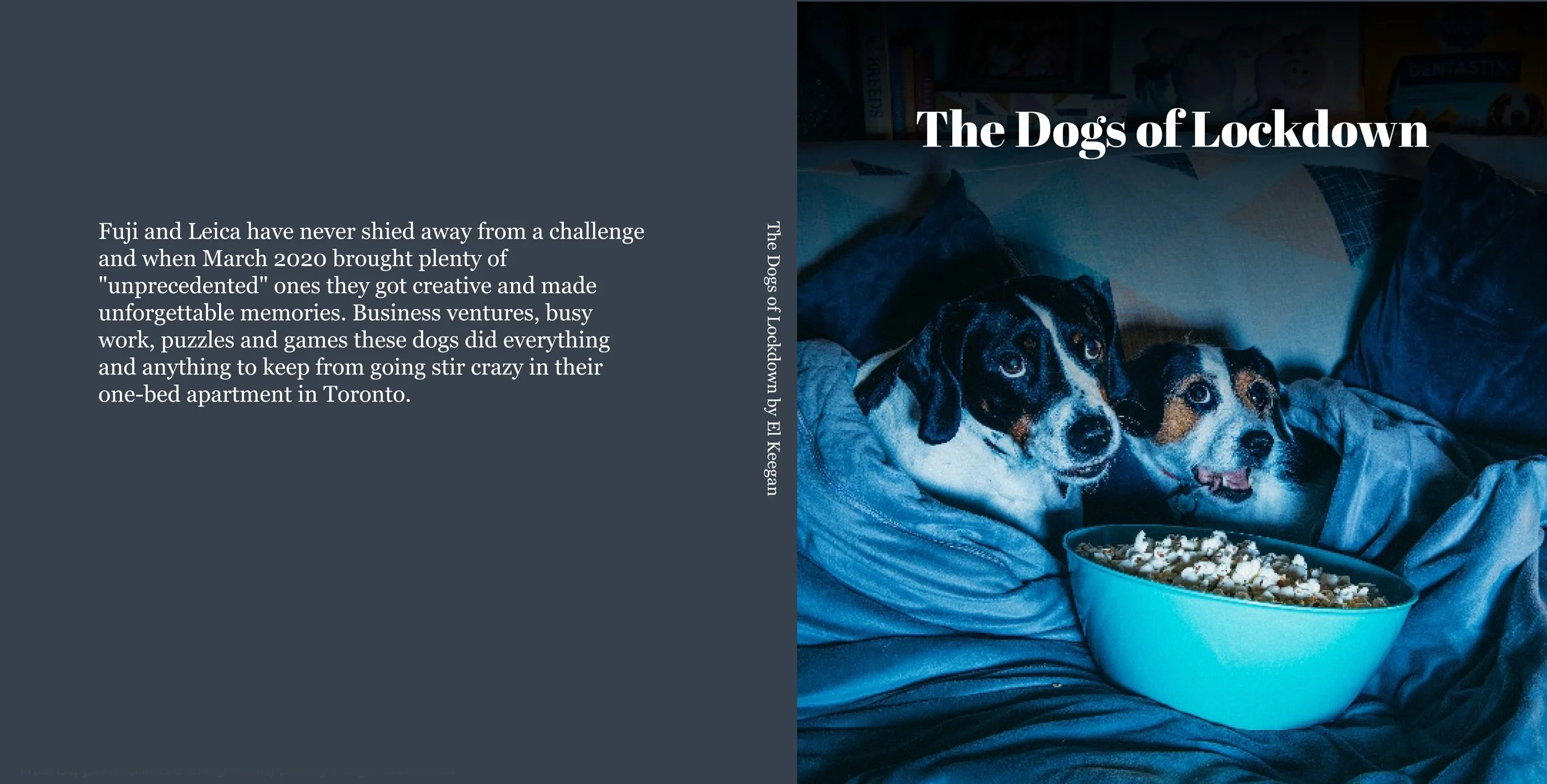 The Dogs of Lockdown blurb.pdfsquare-imagewrap-premium_lustre_paper copy.jpg