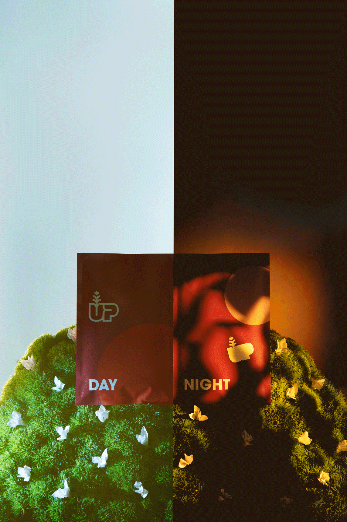 Dublin_Product_Photographer_El_Keegan_Daytime-Packaging-222-low-res.gif