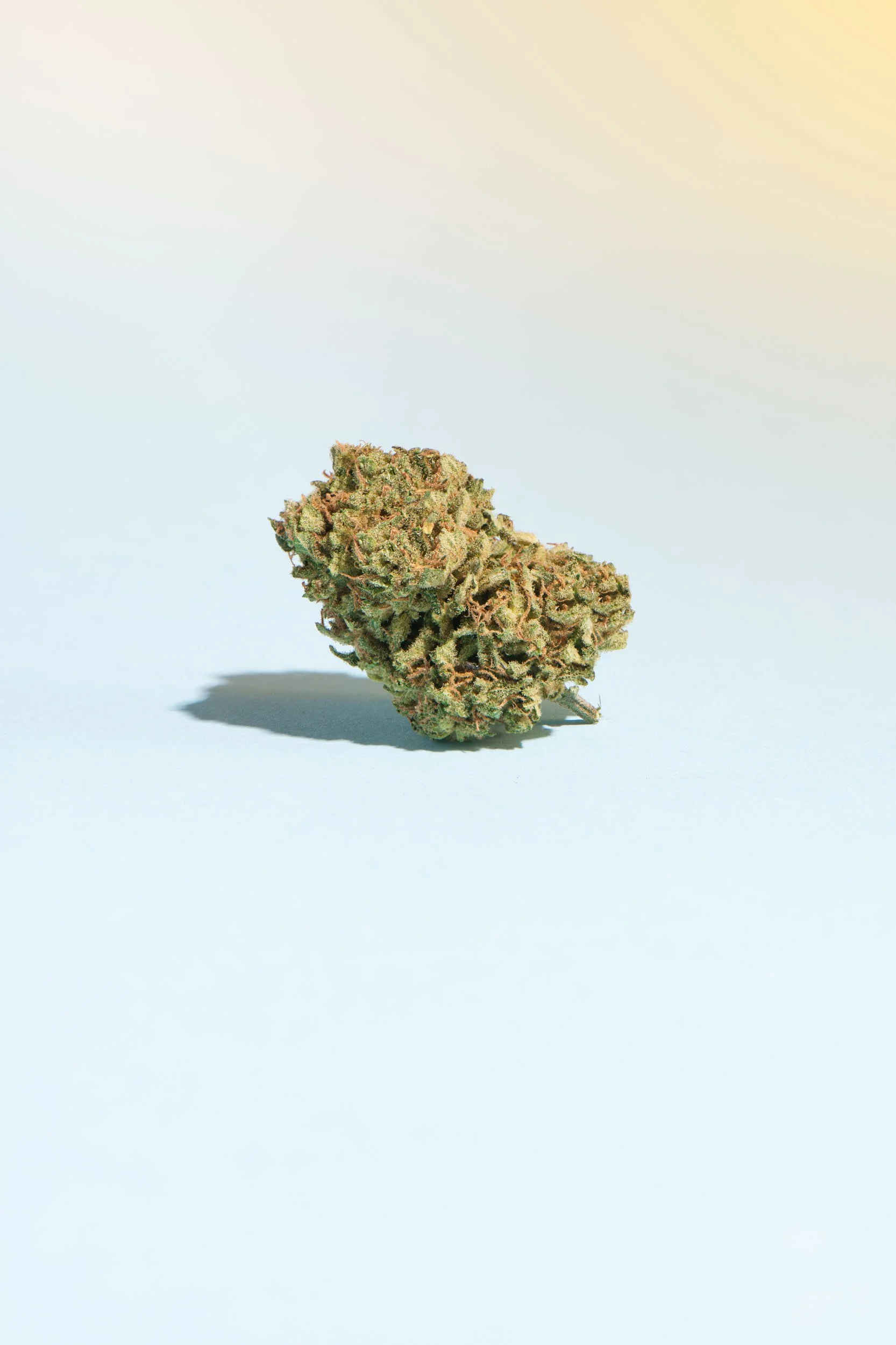 Dublin_Product_Photographer_El_Keegan_Daytime Bud-018-Edit.jpg