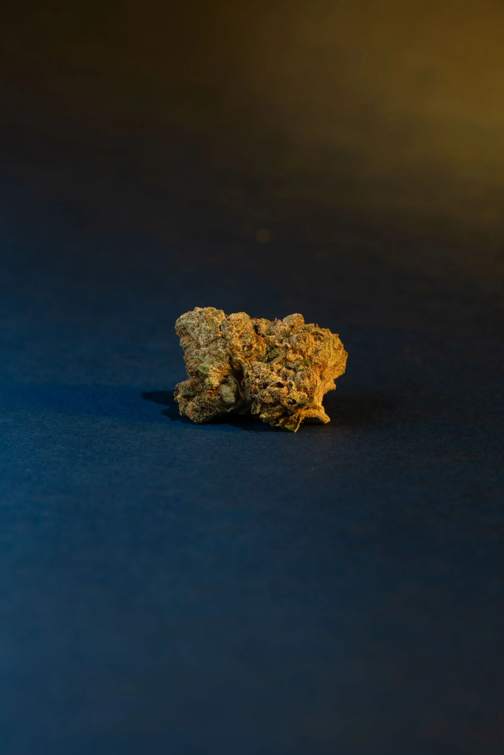 Dublin_Product_Photographer_El_Keegan_Nightime Bud_58-Edit-2.jpg