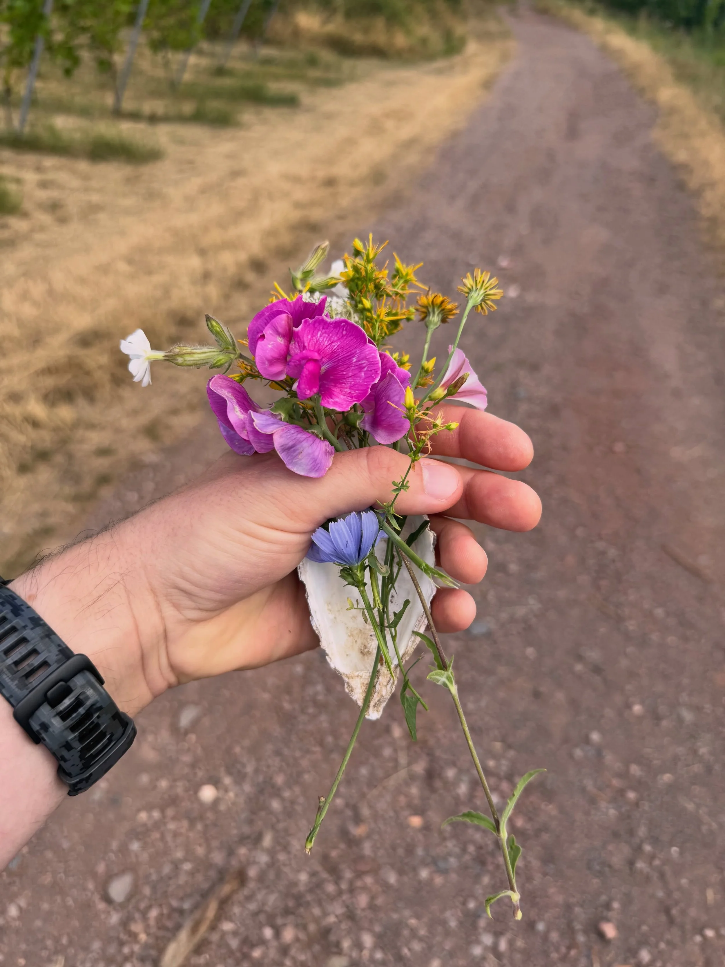 A few things I&rsquo;ve seen, found and kept with me this year.

Wild flowers. Handwriting. Broken lines. Snow crystals. Shadows. Music. A single word. And the sky.

Some of them may find their way into the work, some already have.

#artistinspiratio