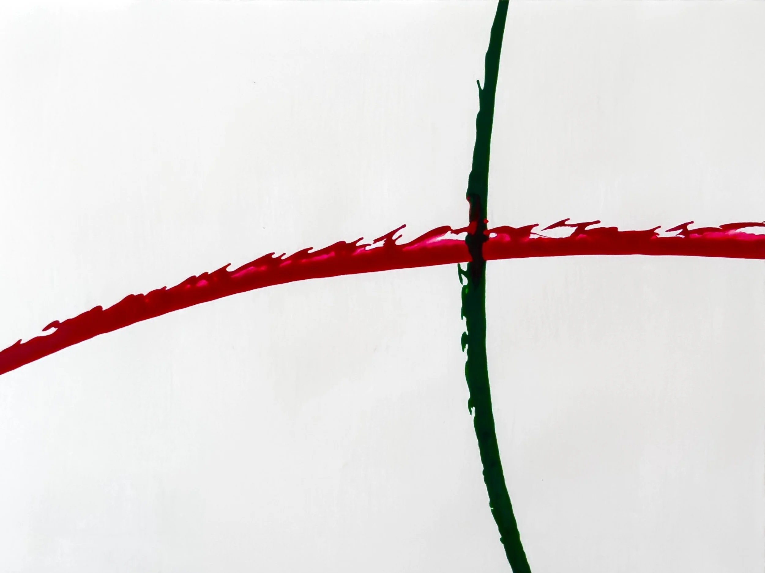 Close-up of two intersecting sticks, one red and one green, against a plain white background.