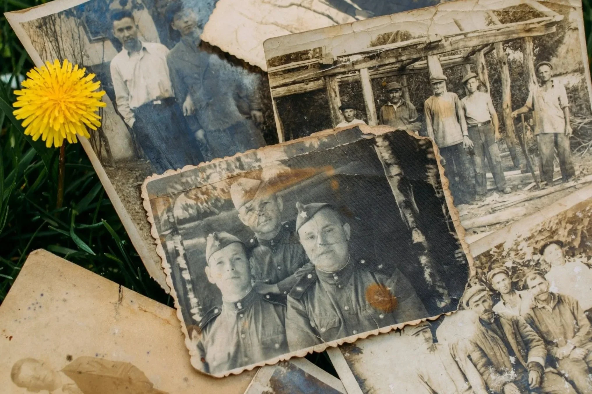Private investigator offering genealogy services
