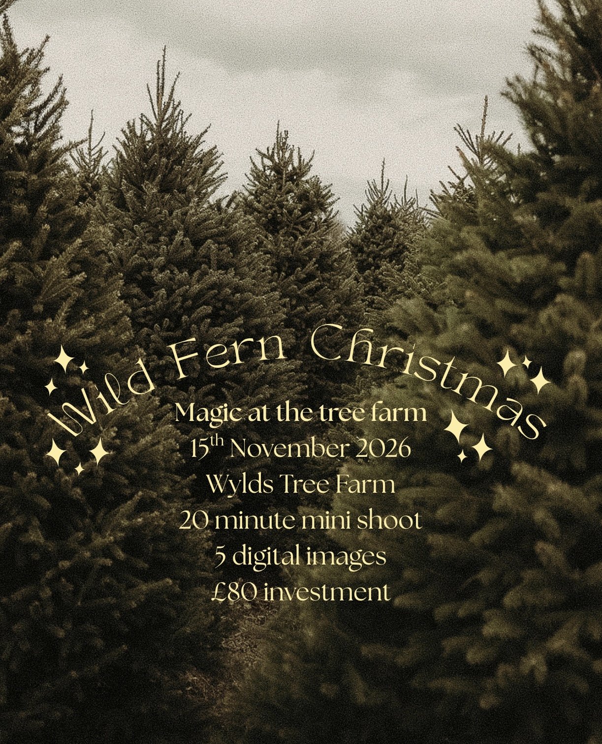 Christmas Tree Mini - 14:30-14:50