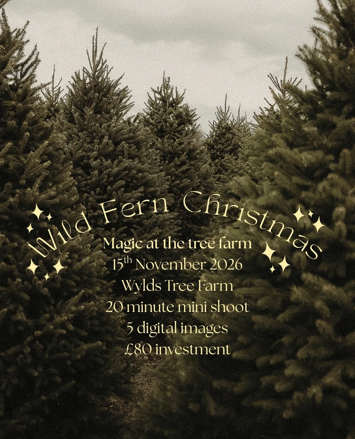 Christmas Tree Mini - 11:00-11:20