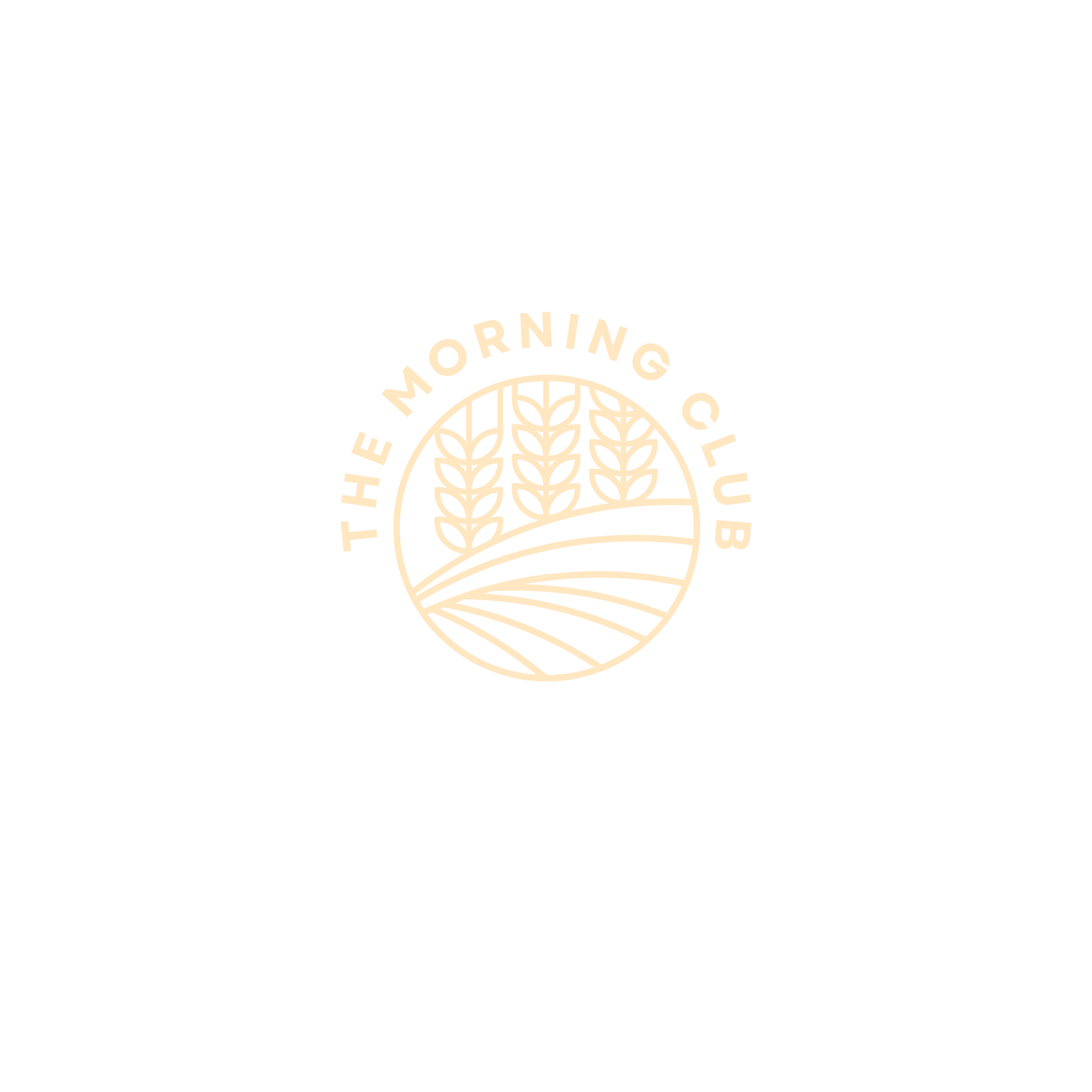 Logo de The Morning Club : entreprise qui vend des porridges overnight artisanaux sans sucres raffinés, sans gluten et sans lactose