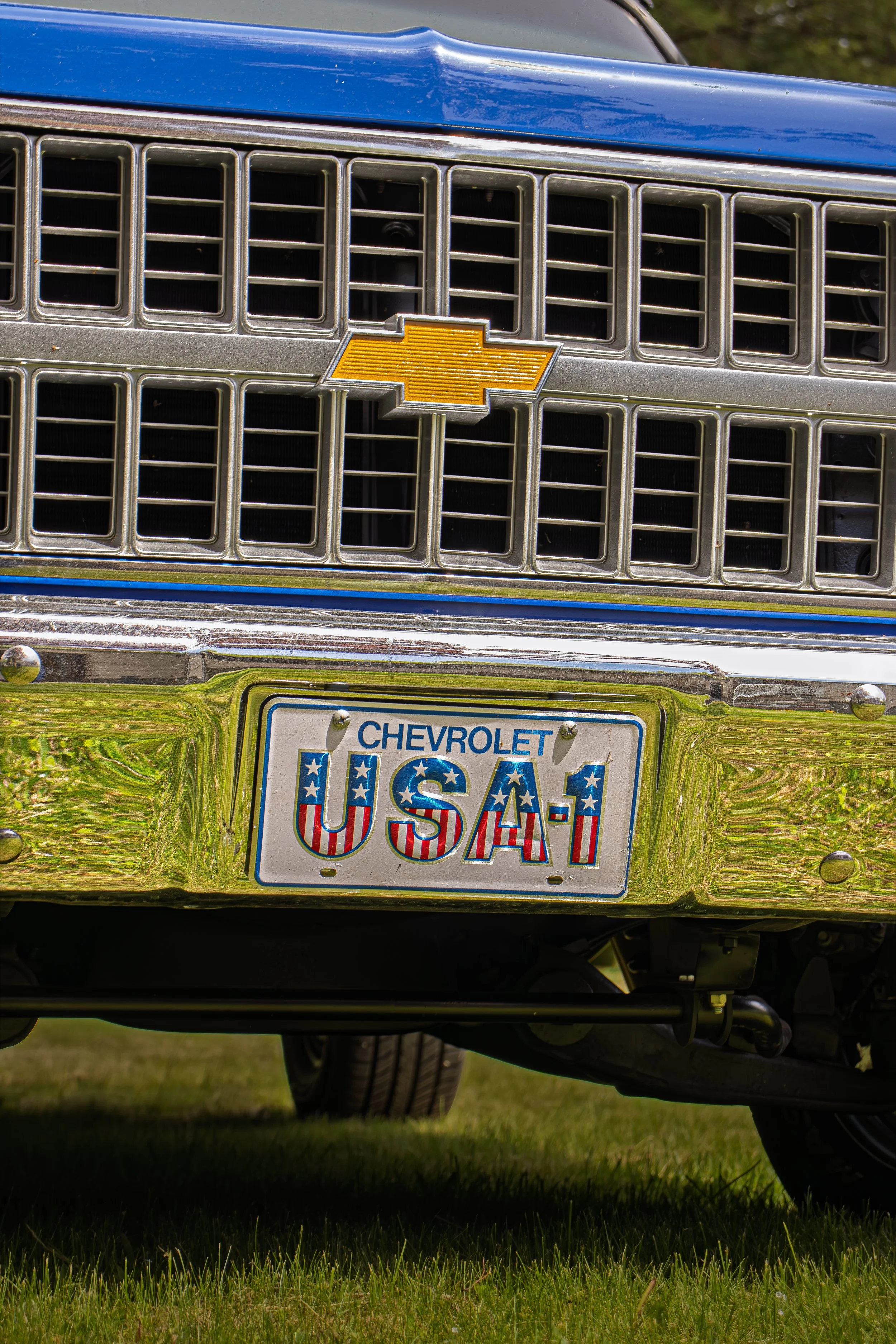 _MG_1431.jpg
