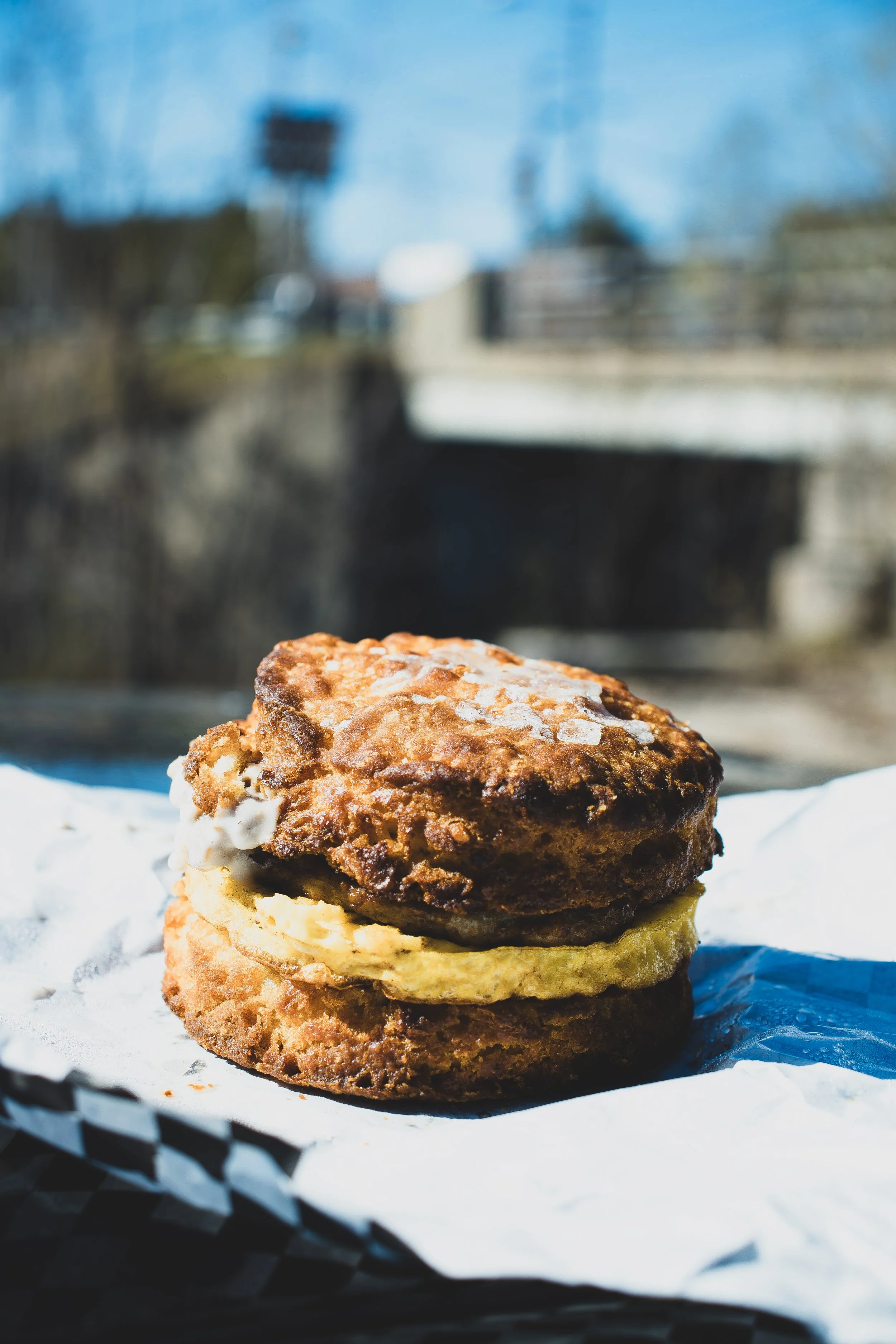 _MG_0903.jpg