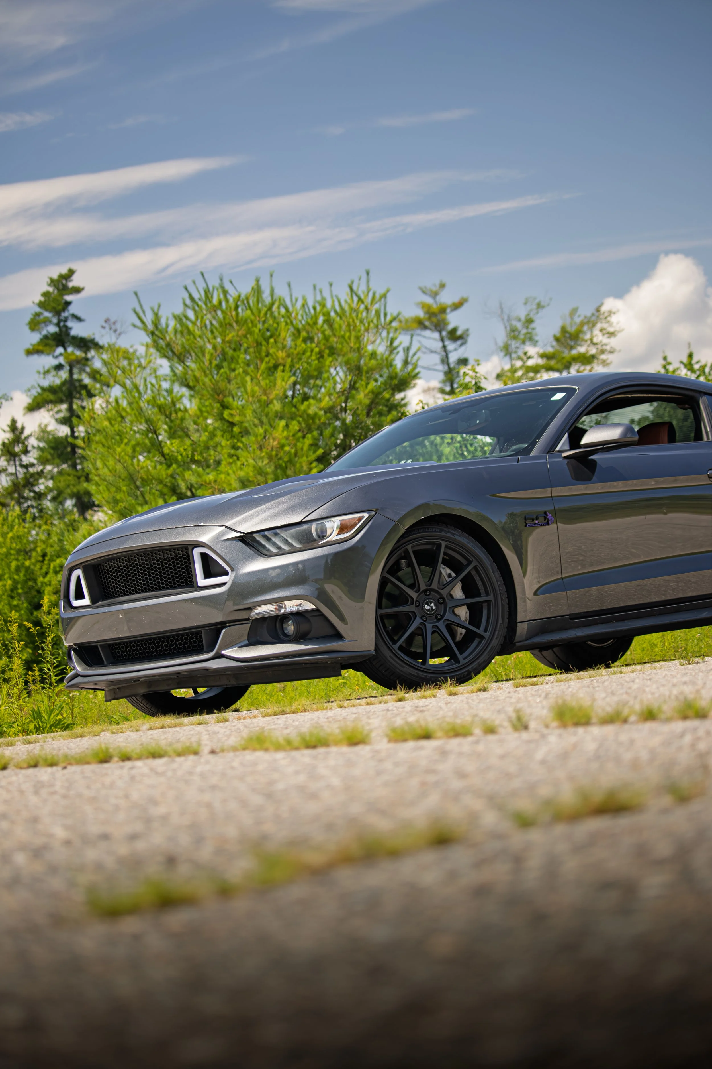 _MG_2496.jpg