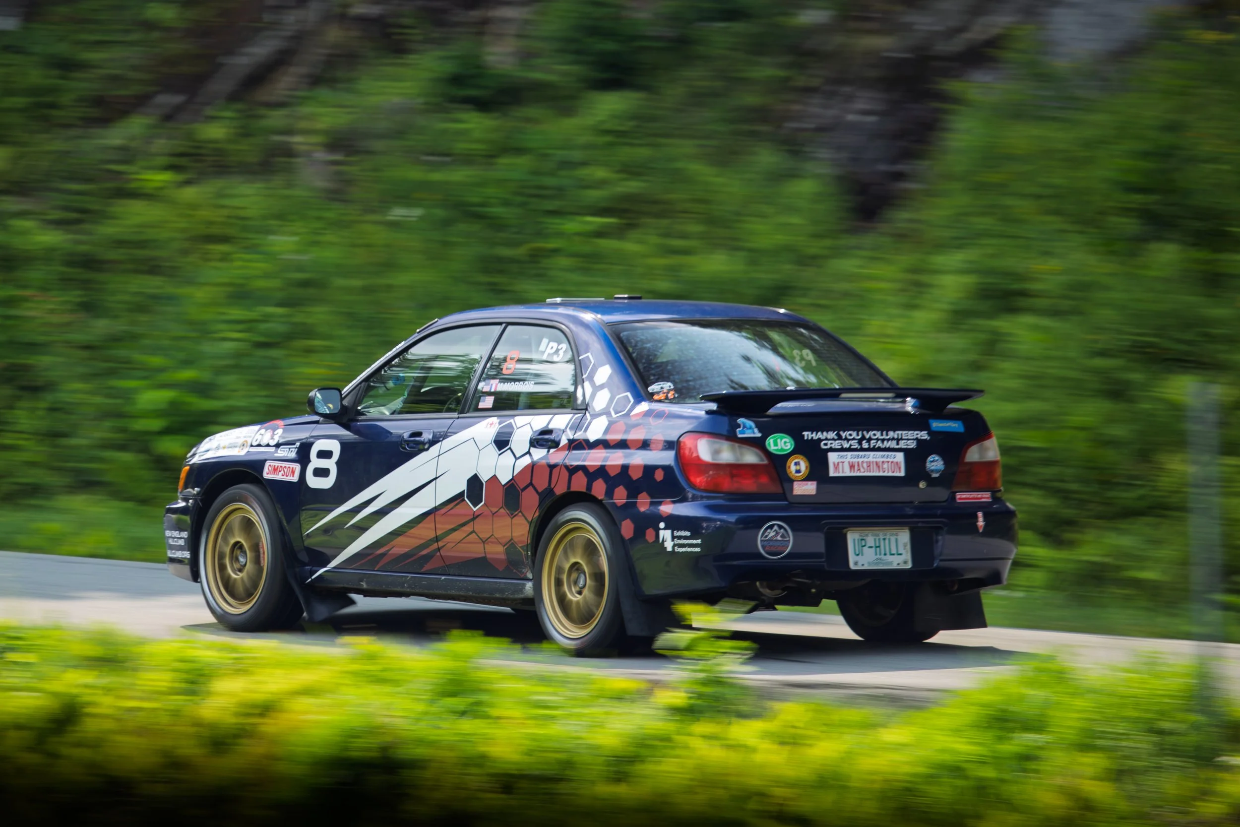 _MG_4518.jpg