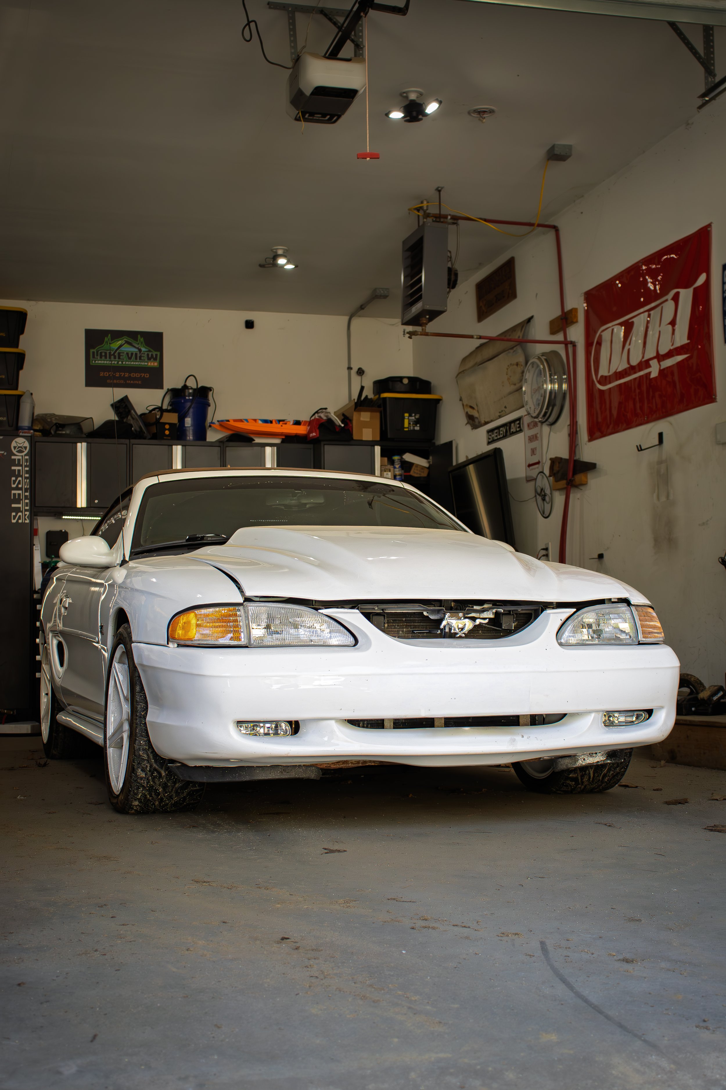 _MG_0727.jpg