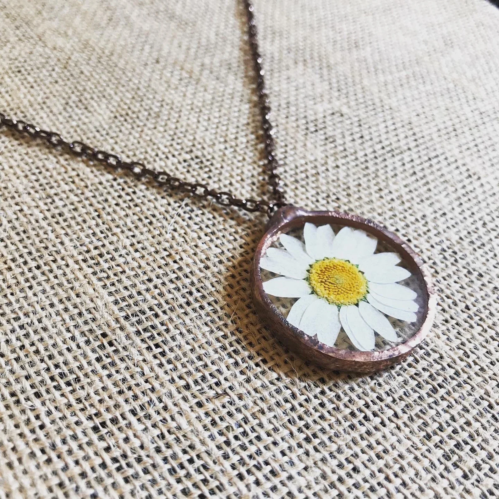 Real Pressed Daisy Stained Glass Necklace Copper Patina
