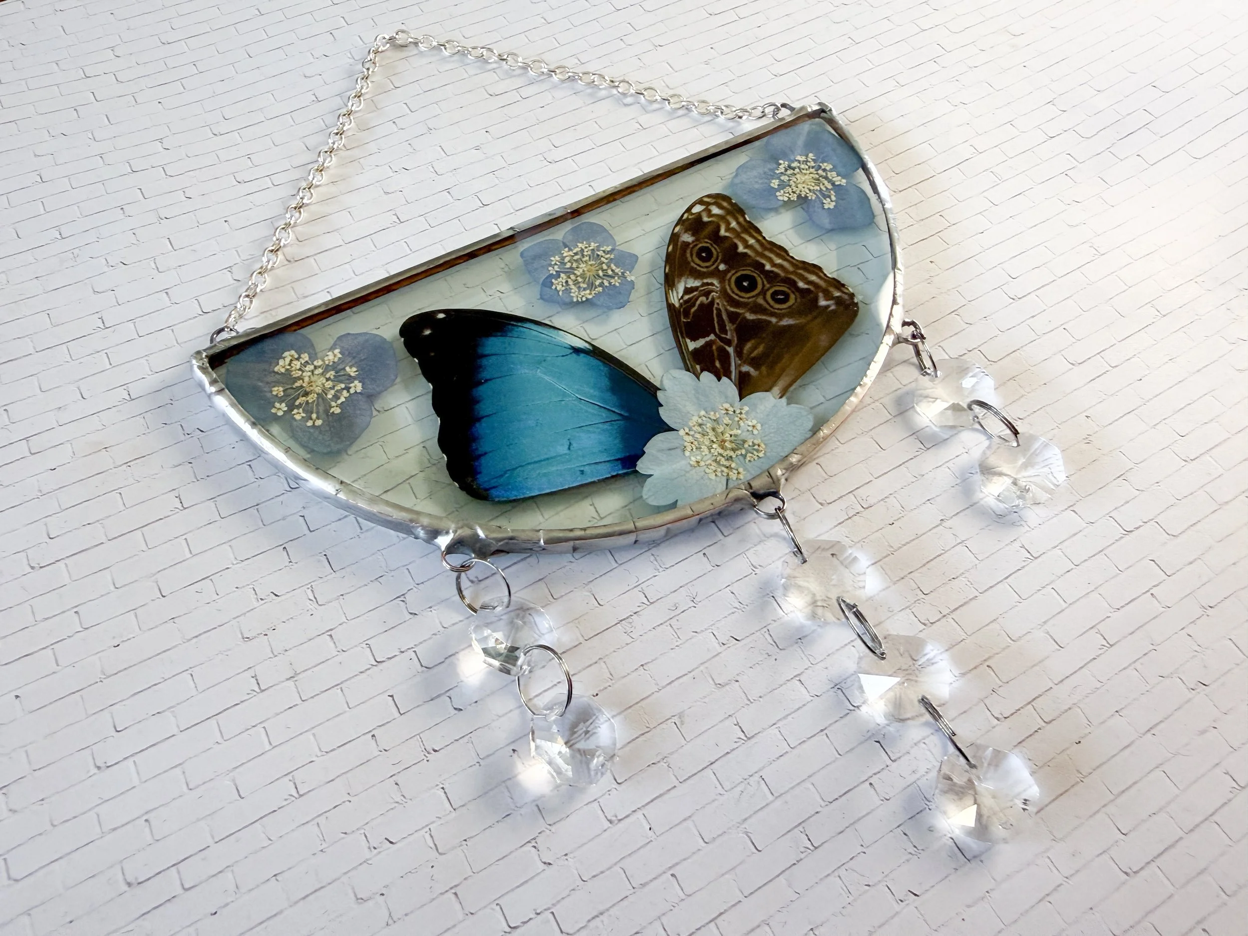 Pressed Flower Blue Morpho Butterfly Wing Glass suncatcher: with rainbow making crystals