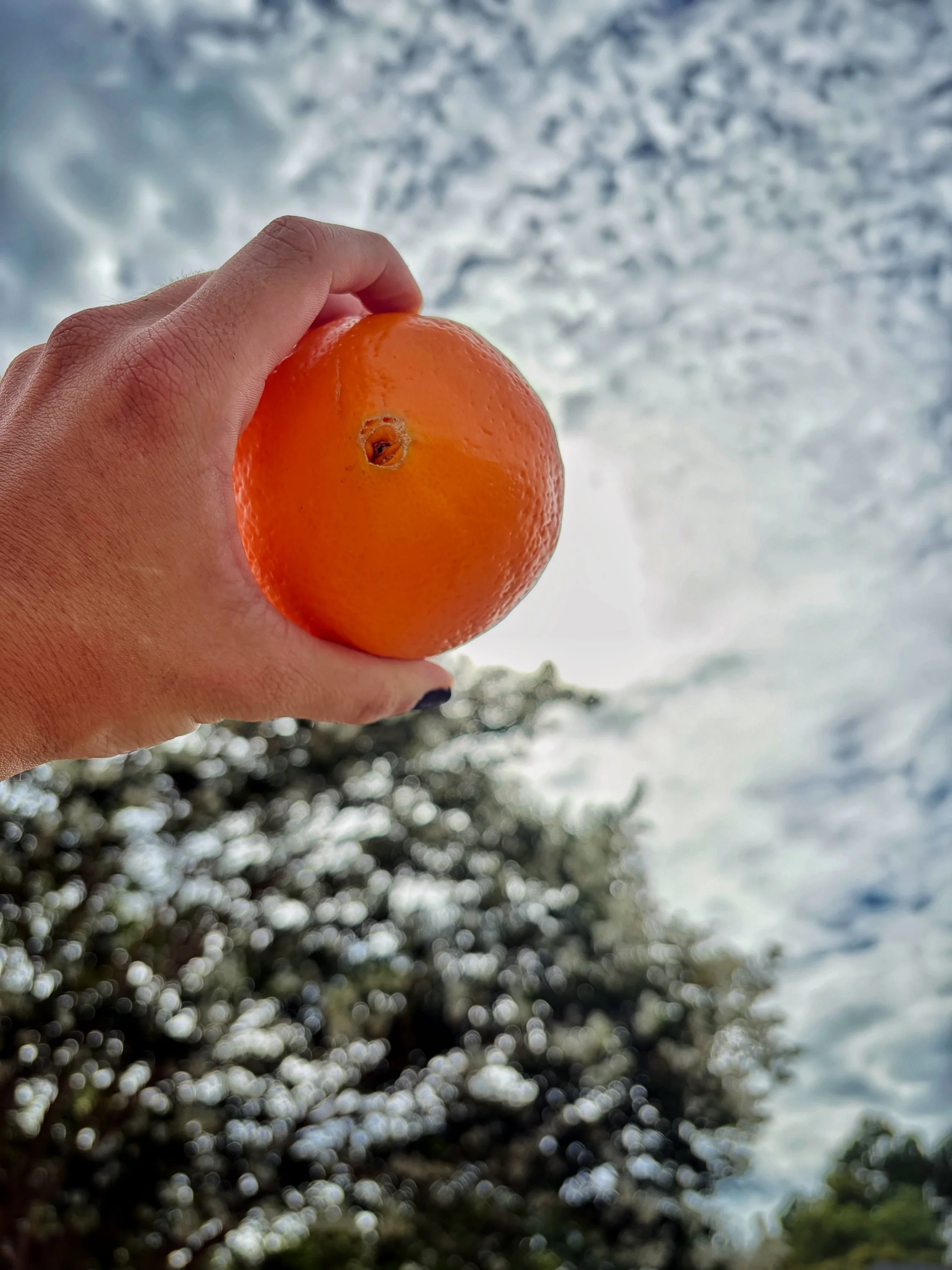 Oranges and Intent